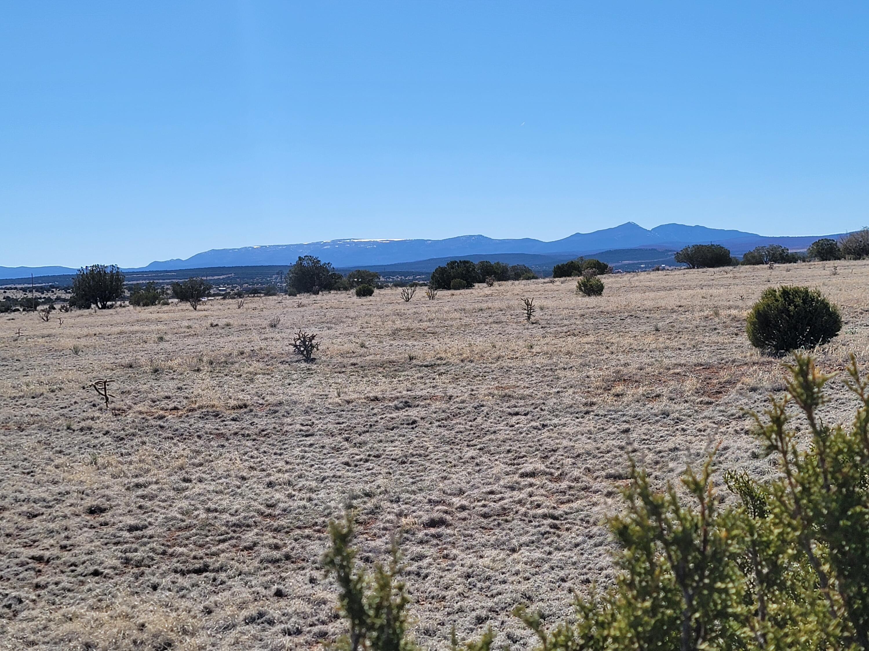 115 Brazos Loop, Estancia, New Mexico image 1