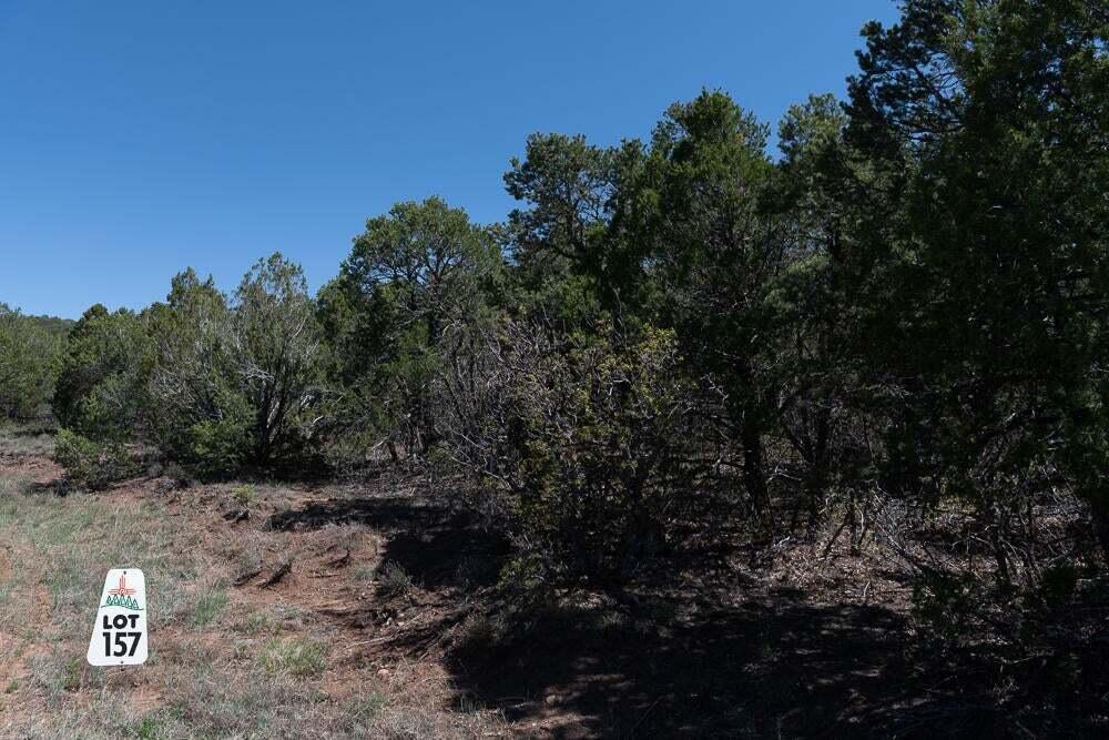 50 Los Pecos Lp Loop, Tijeras, New Mexico image 2