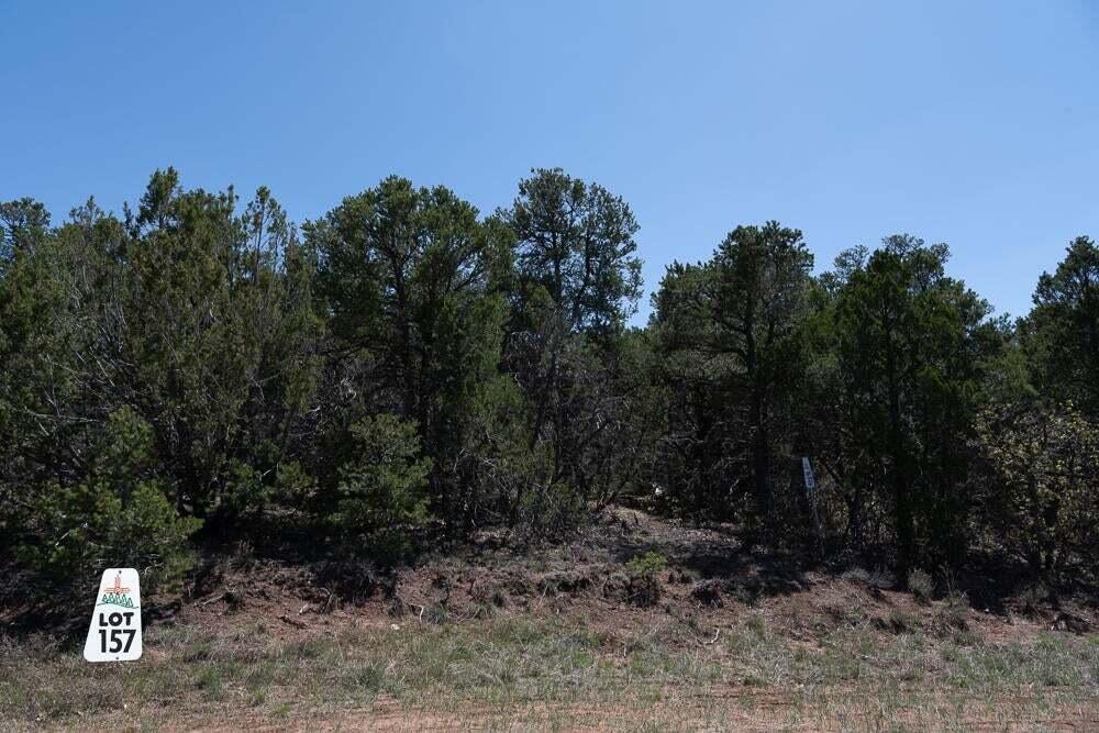 50 Los Pecos Lp Loop, Tijeras, New Mexico image 3