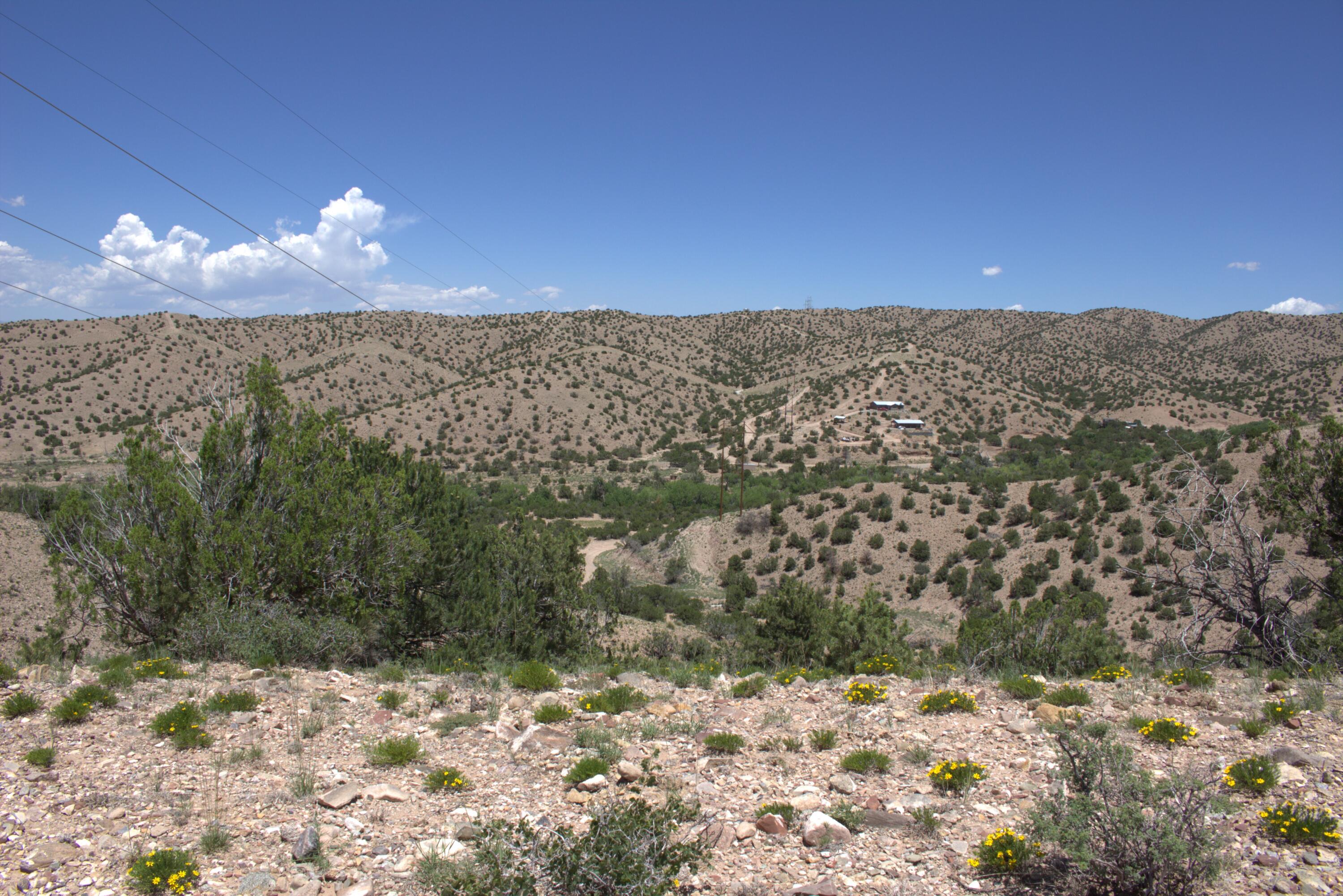 Tres Amigos, Placitas, New Mexico image 5