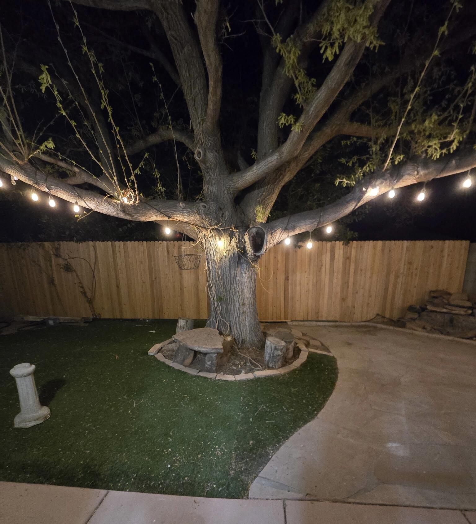 4615 Lobelia Road, Albuquerque, New Mexico image 39