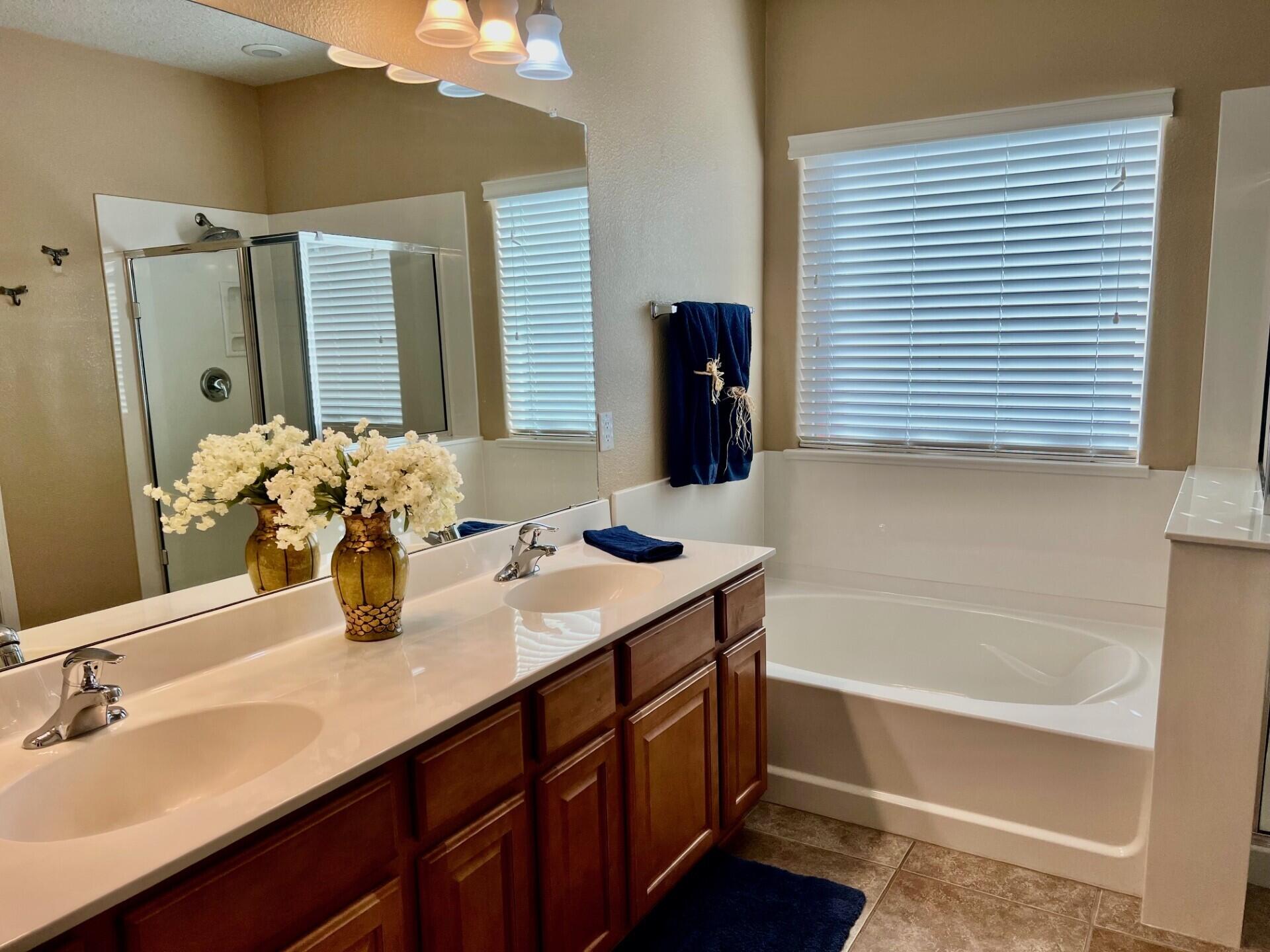 309 Valle Alto Drive, Rio Rancho, New Mexico image 21