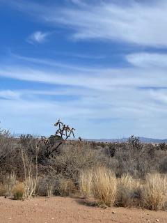 Lot 22 16th Street, Rio Rancho, New Mexico image 2