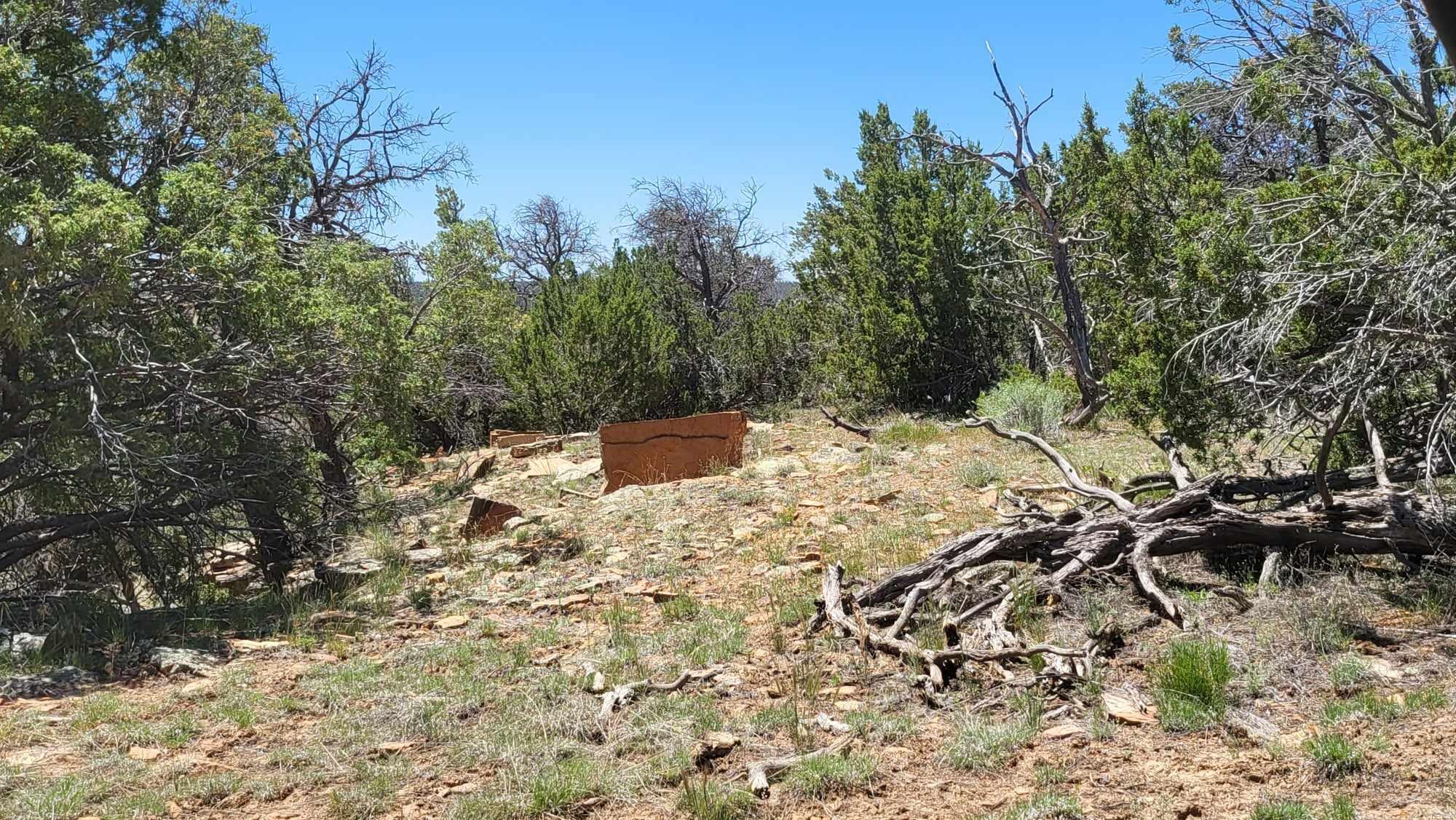 North Lots - Calls Place, Ramah, New Mexico image 13