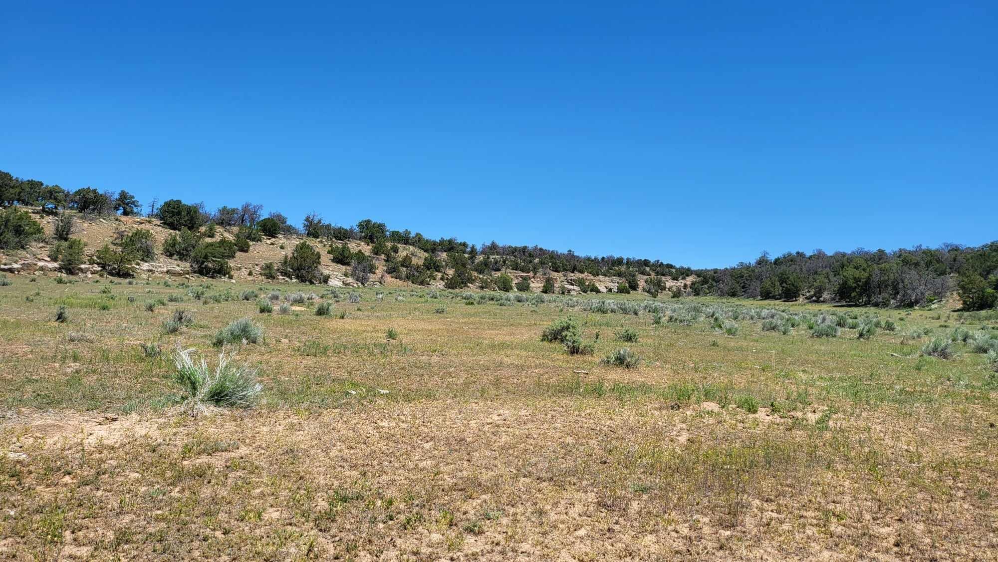 North Lots - Calls Place, Ramah, New Mexico image 20