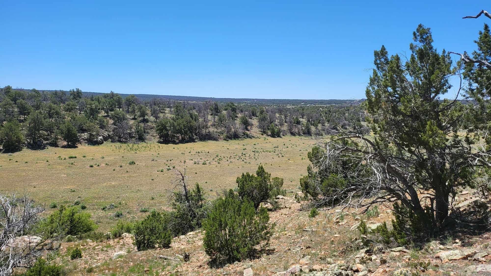 North Lots - Calls Place, Ramah, New Mexico image 3