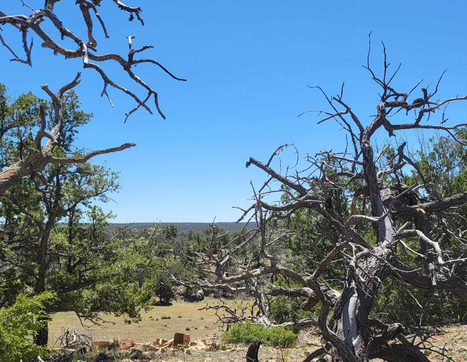 North Lots - Calls Place, Ramah, New Mexico image 2