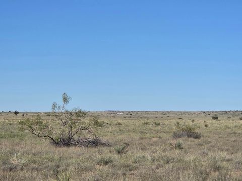 Vacant Land For Sale - RRG Lot: 106 #6<br/> Magdalena, NM 87825