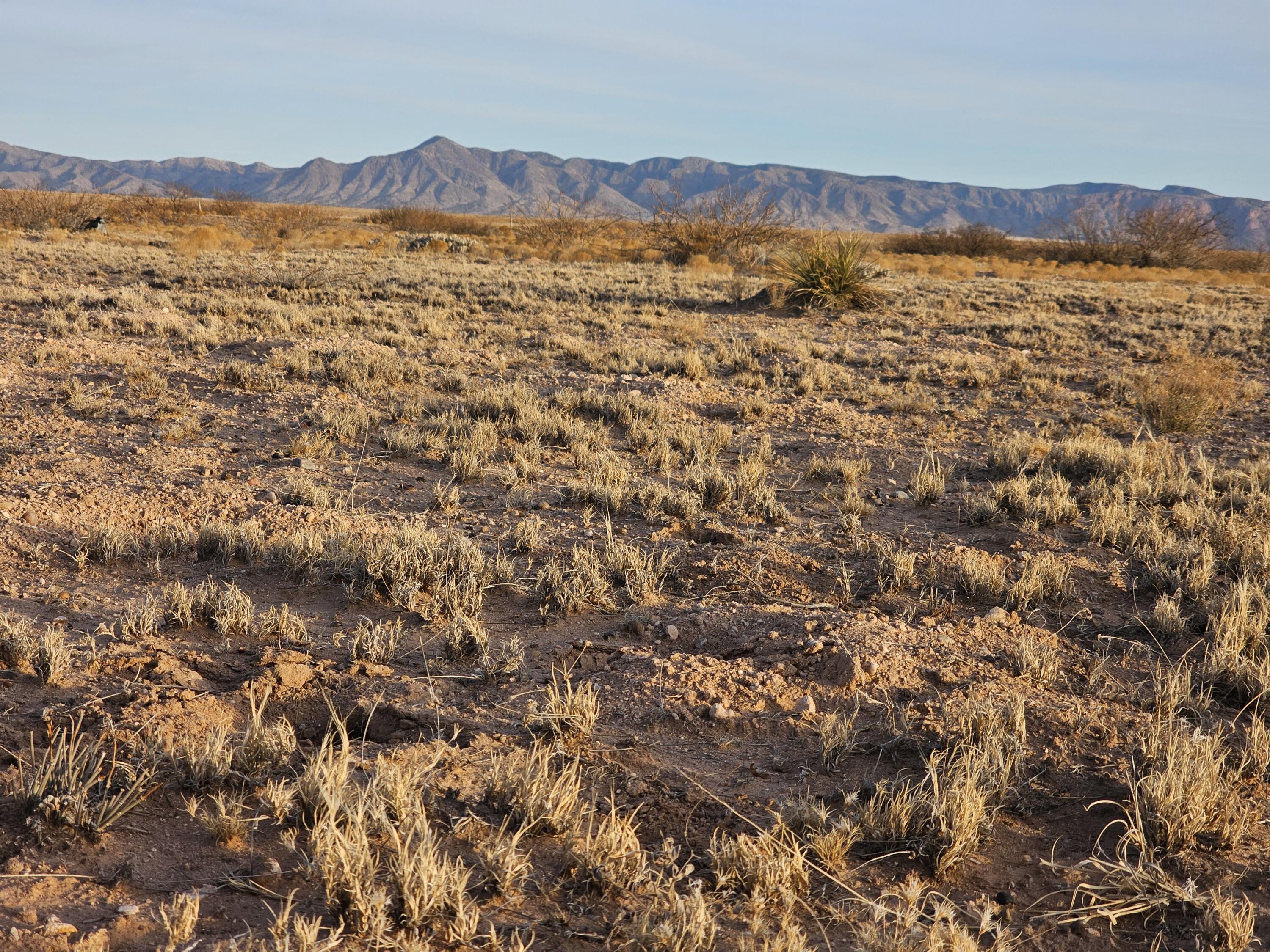 VL Rge Lot 22a Lot 23a Block 326 #8, Socorro, New Mexico image 15