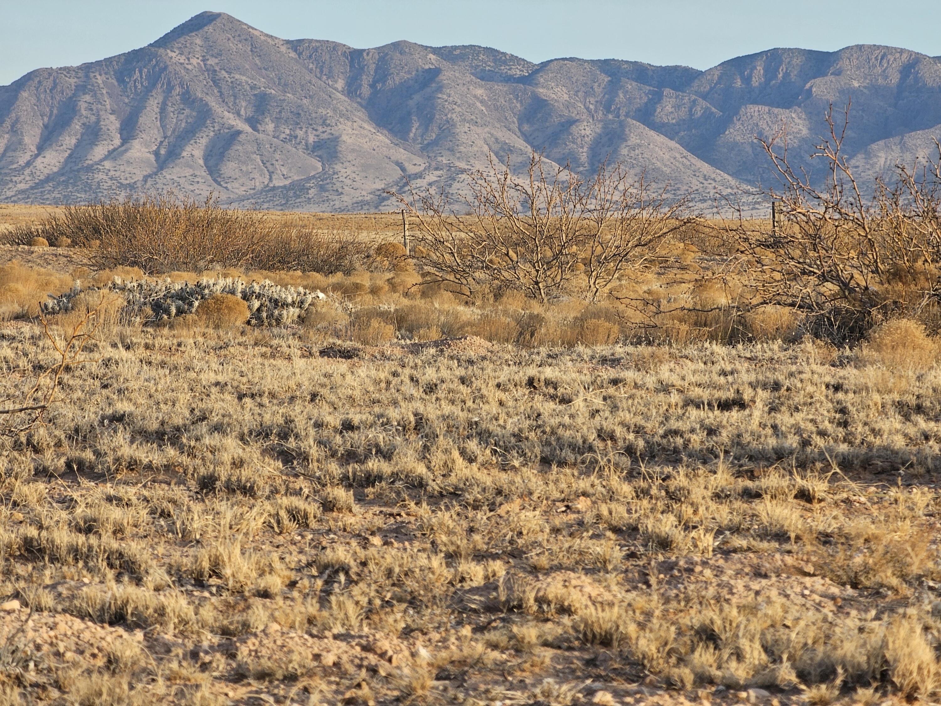 VL Rge Lot 22a Lot 23a Block 326 #8, Socorro, New Mexico image 4