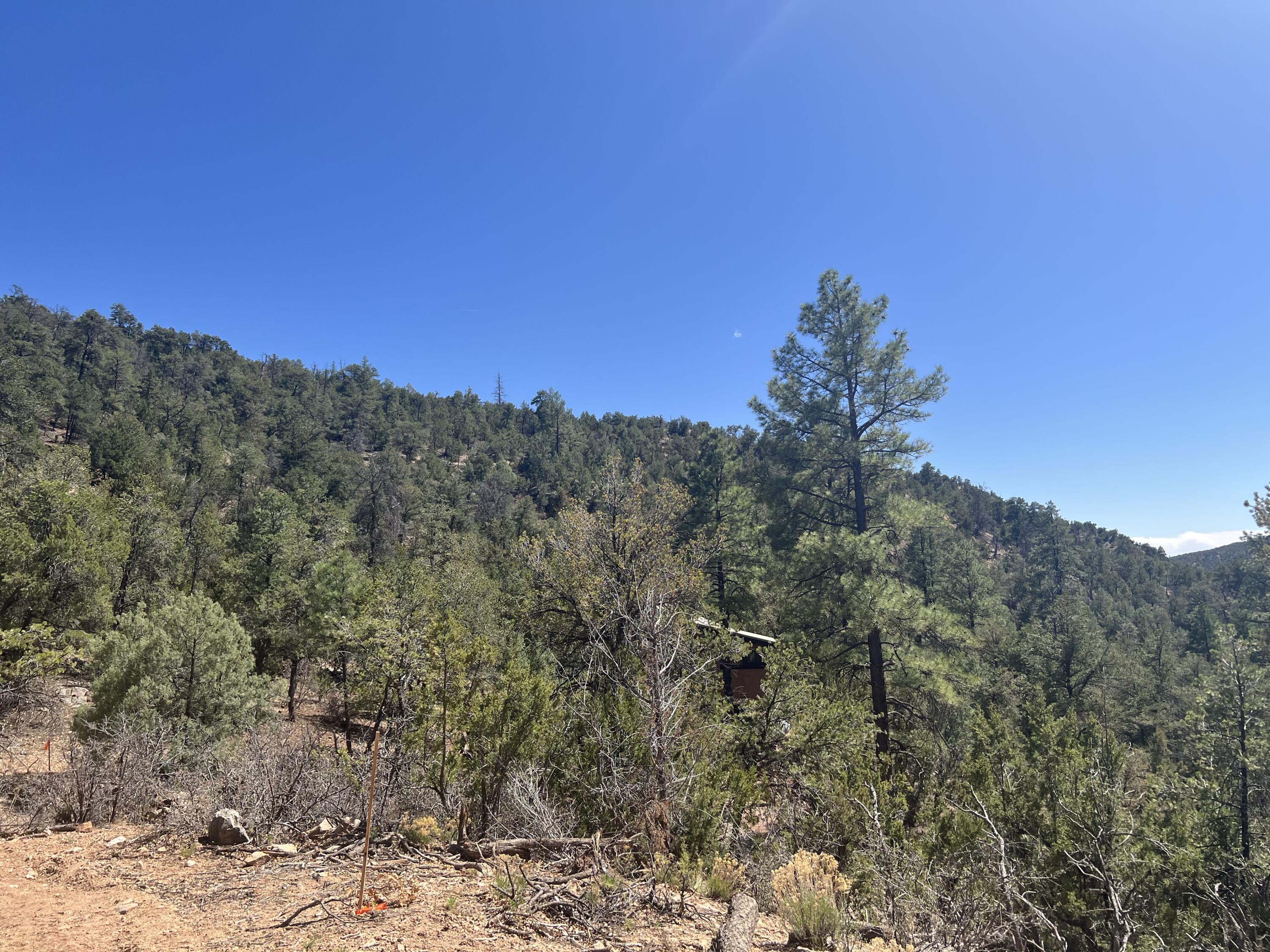 1A2A Calle Pinon, Jemez Springs, New Mexico image 11