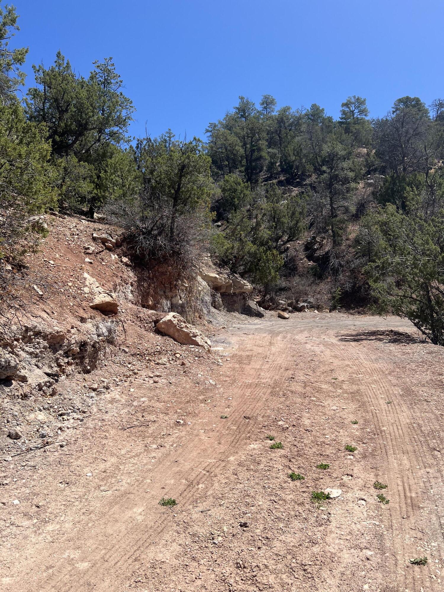 1A2A Calle Pinon, Jemez Springs, New Mexico image 22