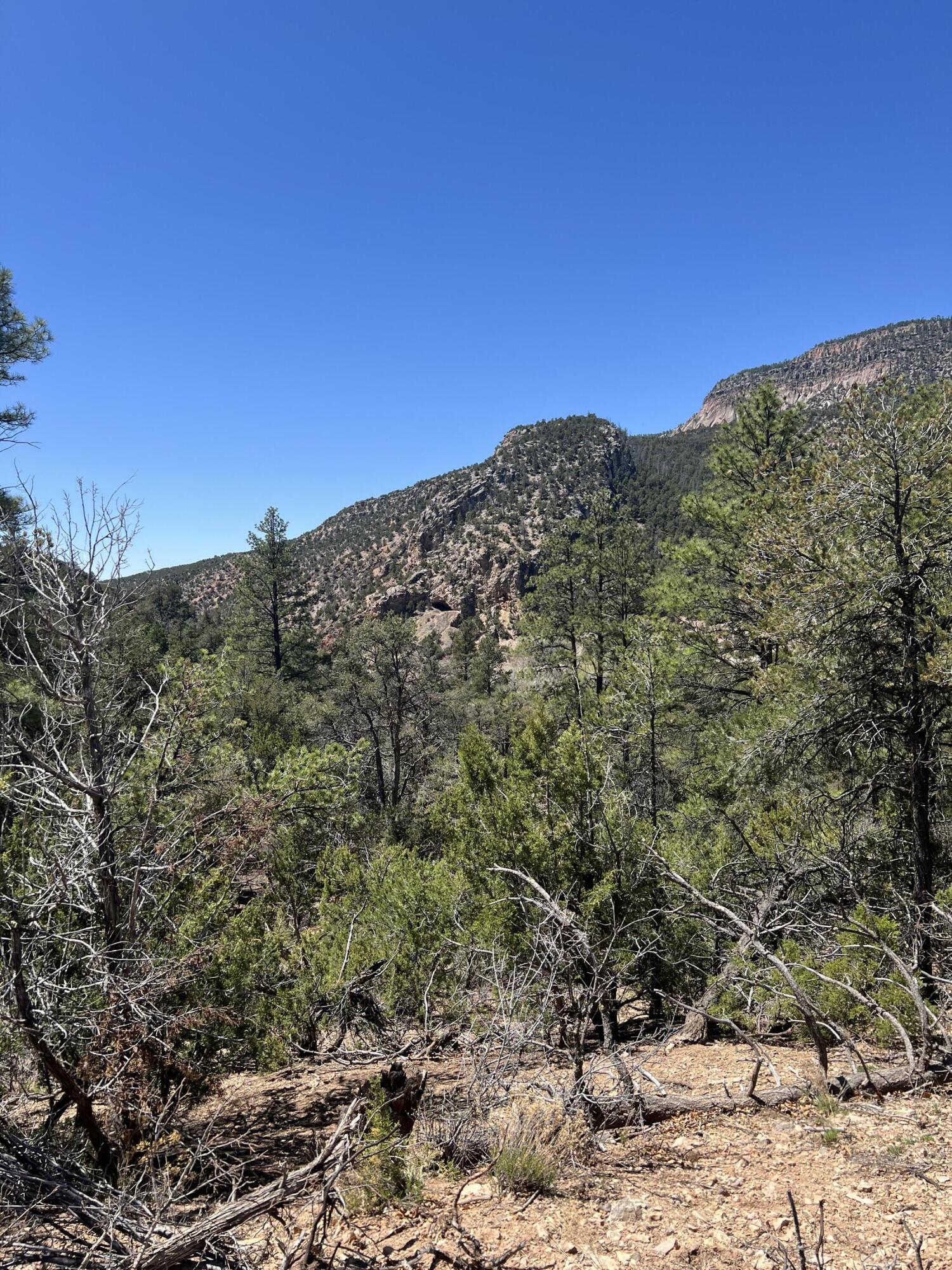 1A2A Calle Pinon, Jemez Springs, New Mexico image 12