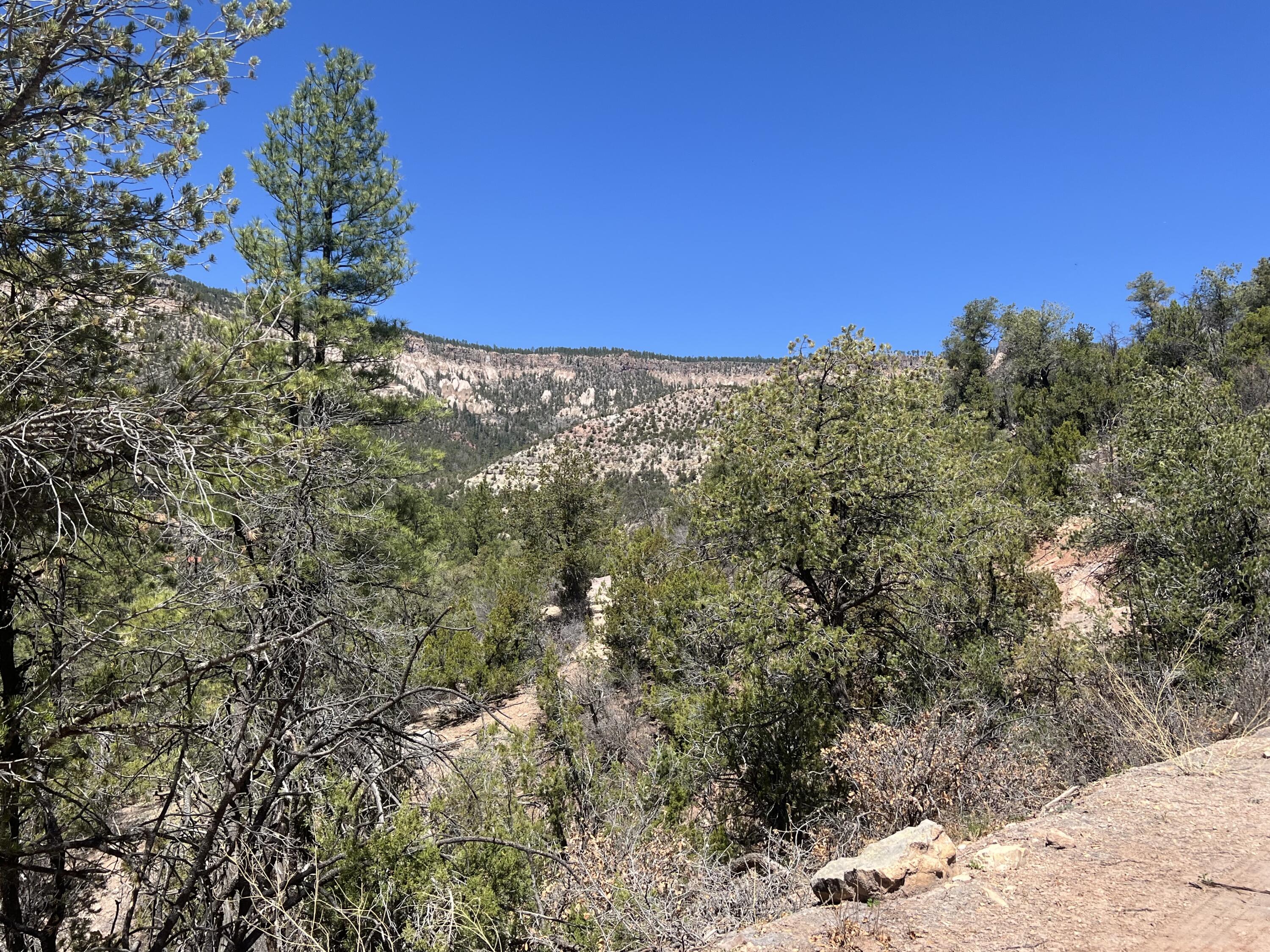 1A2A Calle Pinon, Jemez Springs, New Mexico image 5