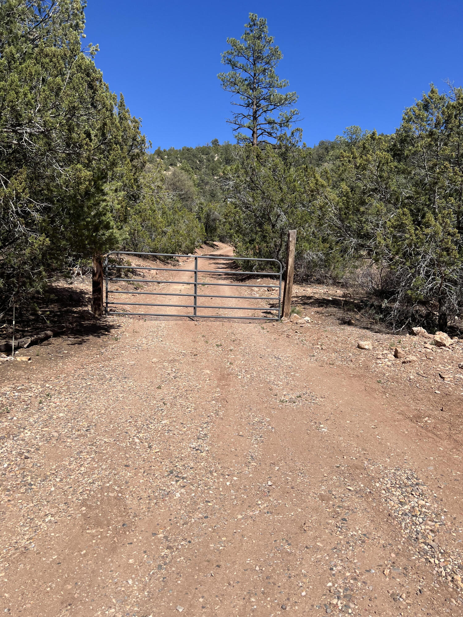 1A2A Calle Pinon, Jemez Springs, New Mexico image 27