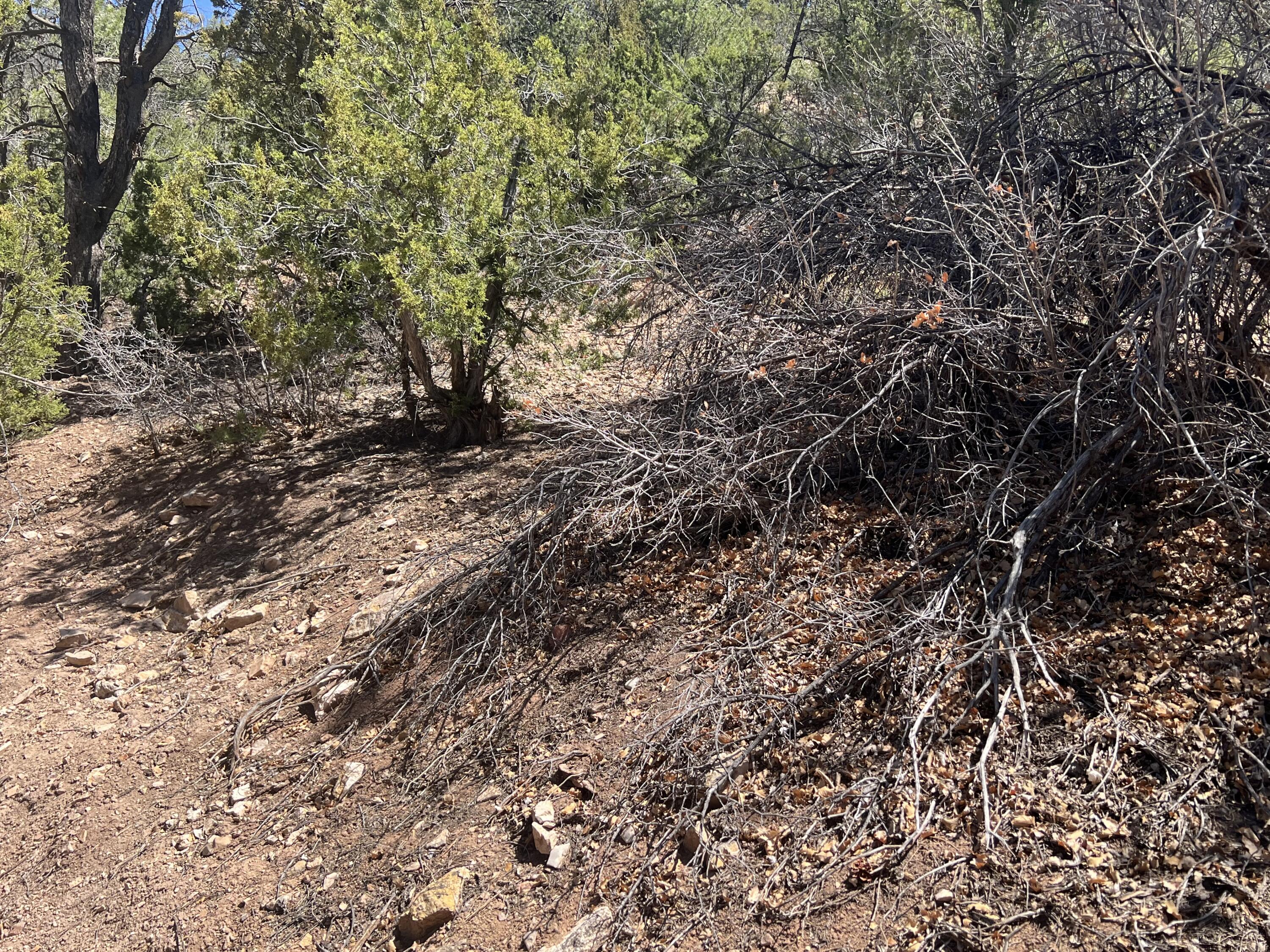1A2A Calle Pinon, Jemez Springs, New Mexico image 7