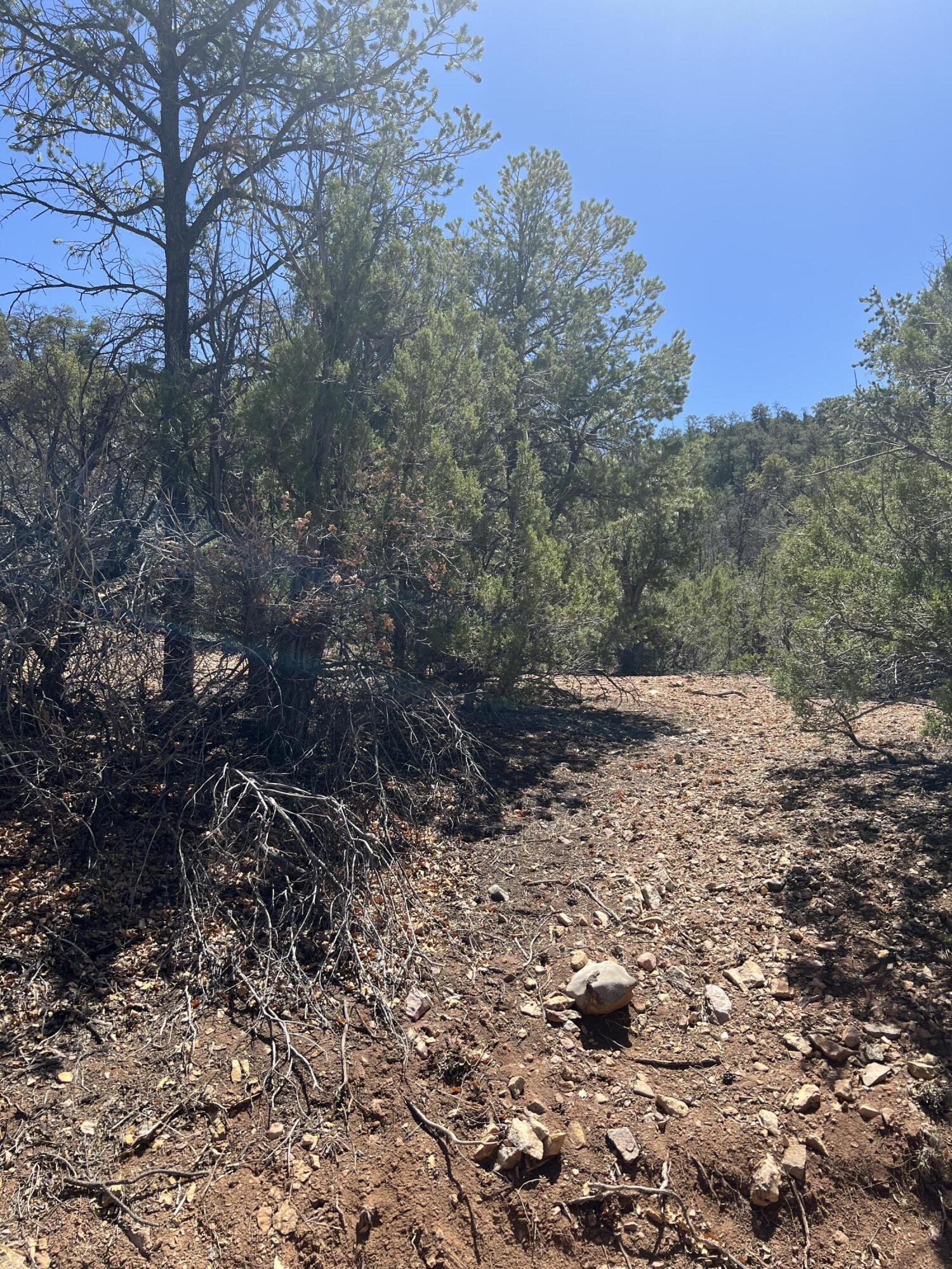 1A2A Calle Pinon, Jemez Springs, New Mexico image 10