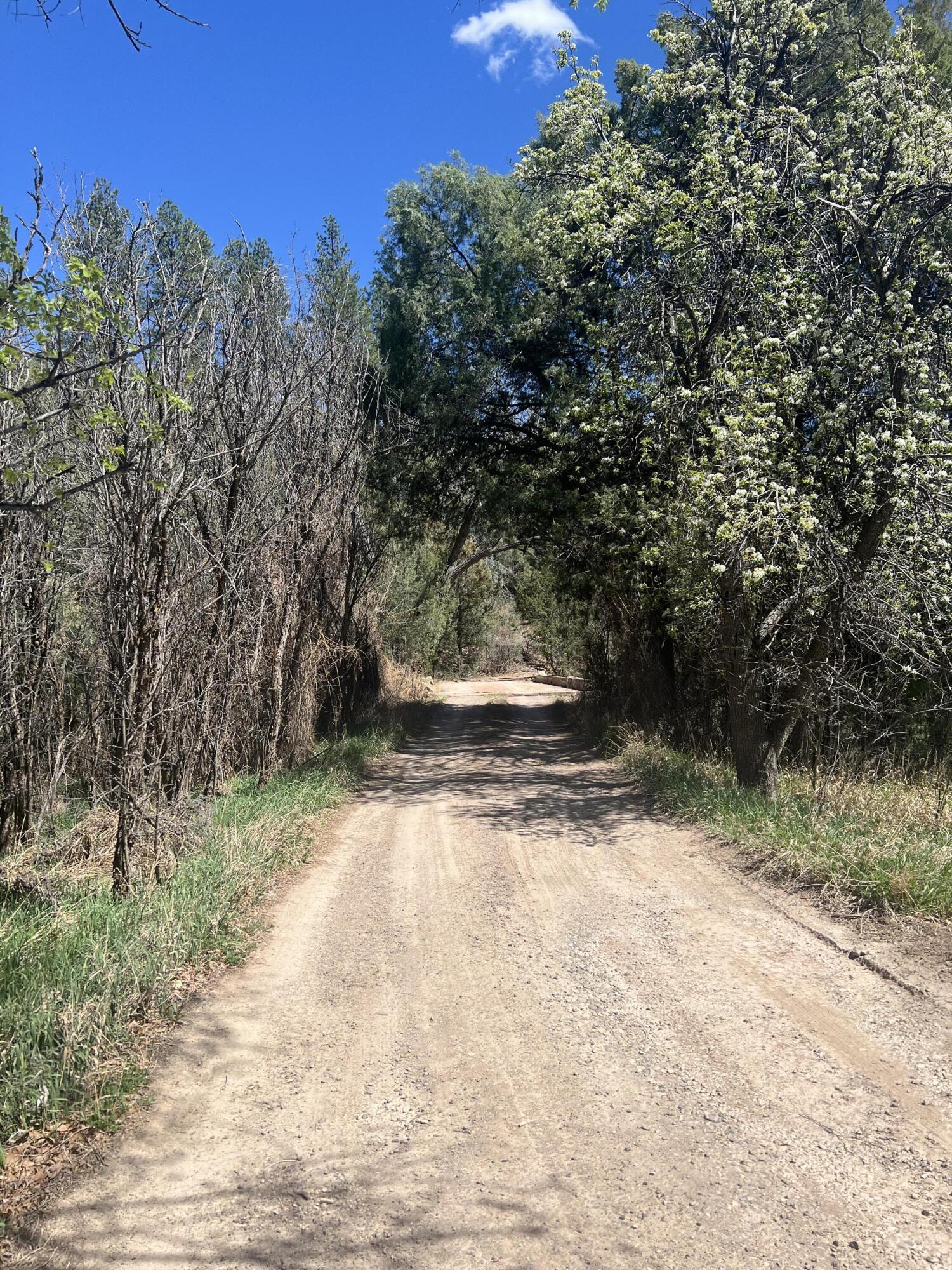 1A2A Calle Pinon, Jemez Springs, New Mexico image 32