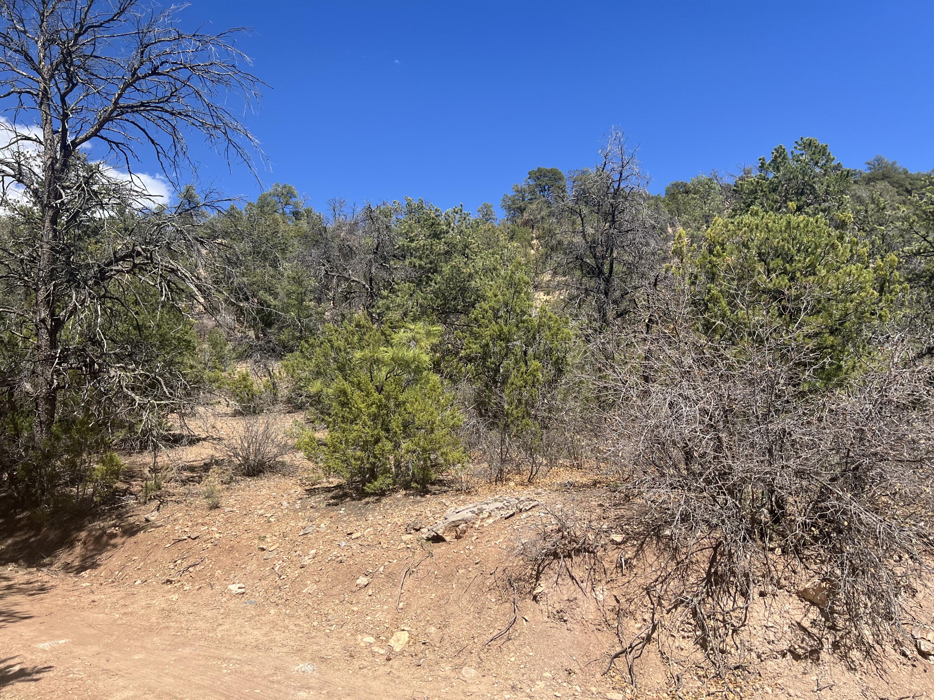 1A2A Calle Pinon, Jemez Springs, New Mexico image 6
