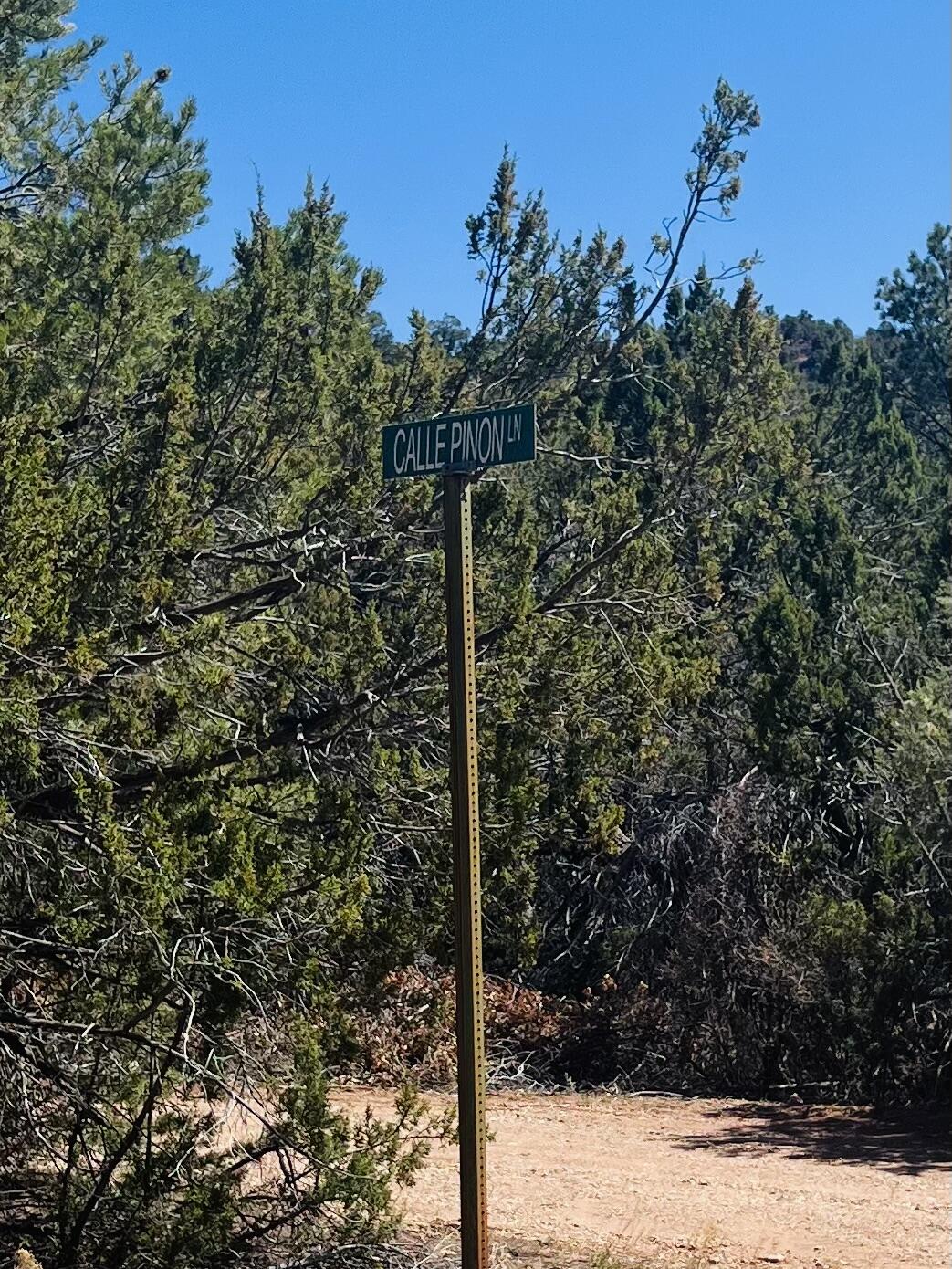 1A2A Calle Pinon, Jemez Springs, New Mexico image 34