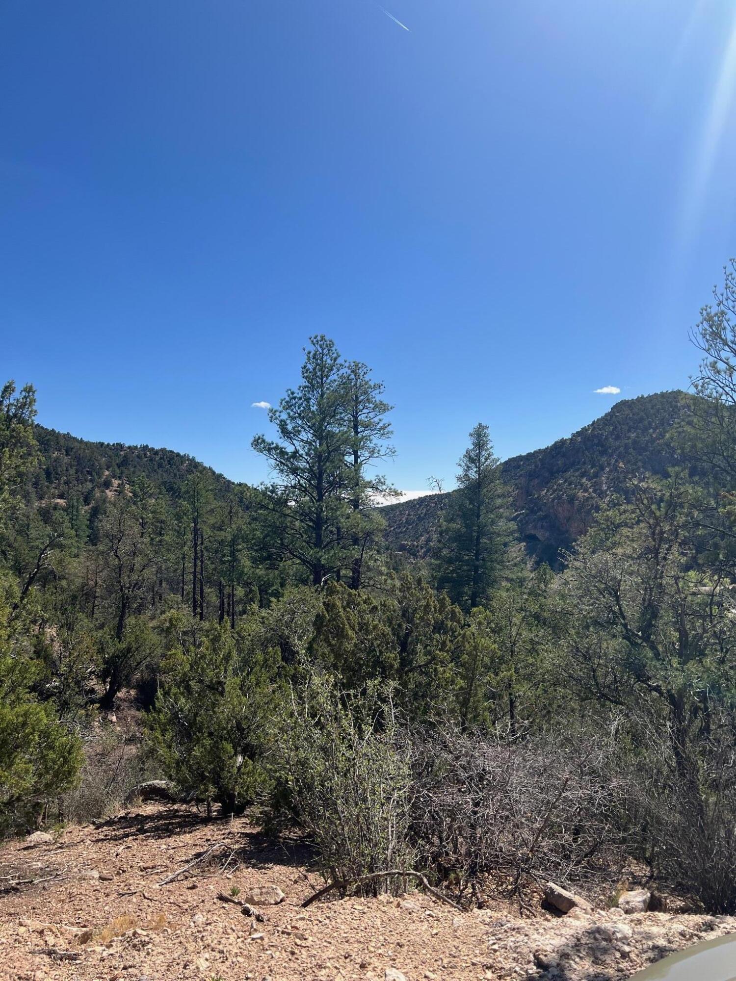 1A2A Calle Pinon, Jemez Springs, New Mexico image 25