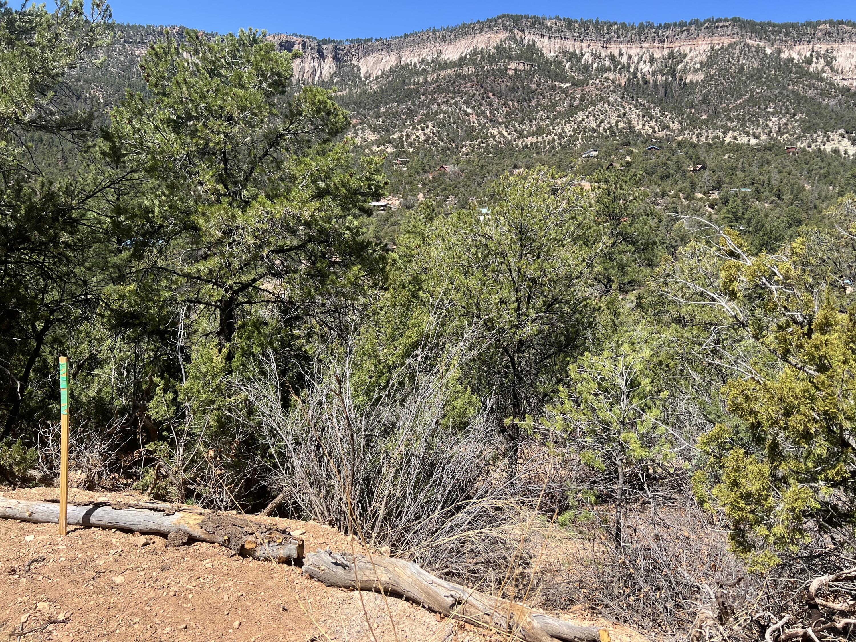 1A2A Calle Pinon, Jemez Springs, New Mexico image 8