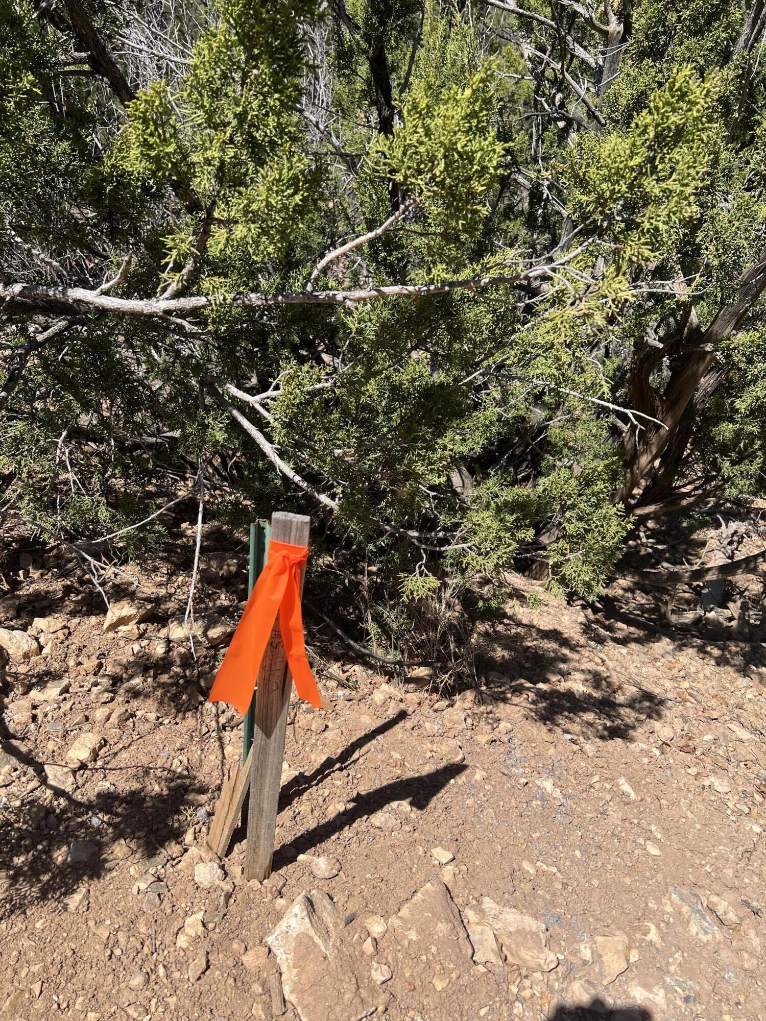 1A2A Calle Pinon, Jemez Springs, New Mexico image 18