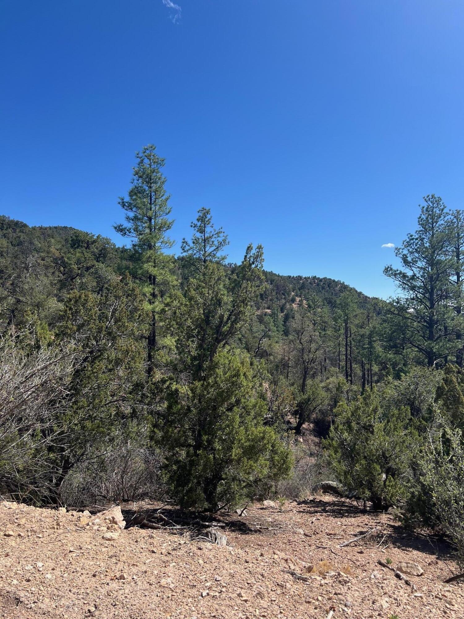 1A2A Calle Pinon, Jemez Springs, New Mexico image 2