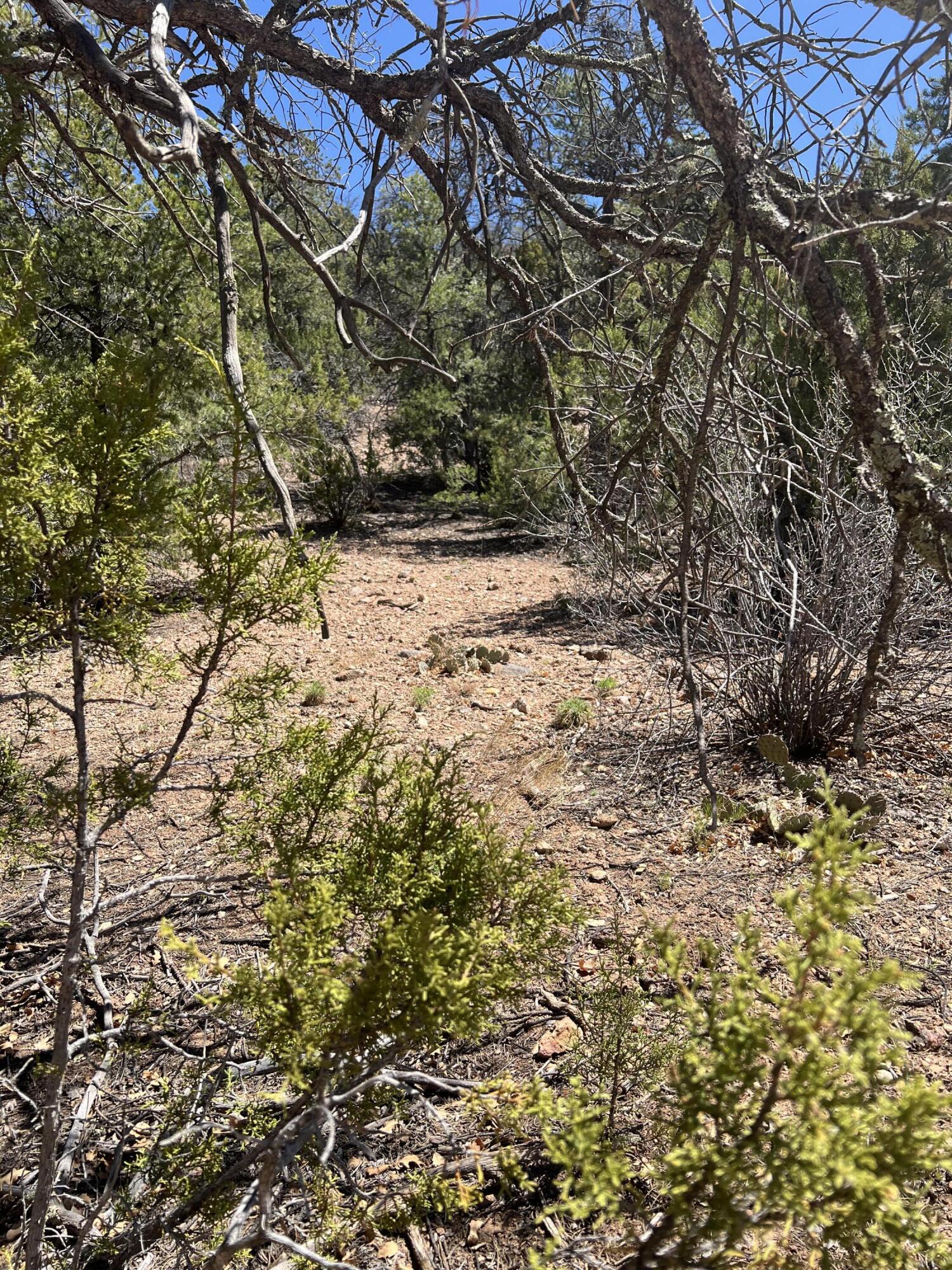 1A2A Calle Pinon, Jemez Springs, New Mexico image 9