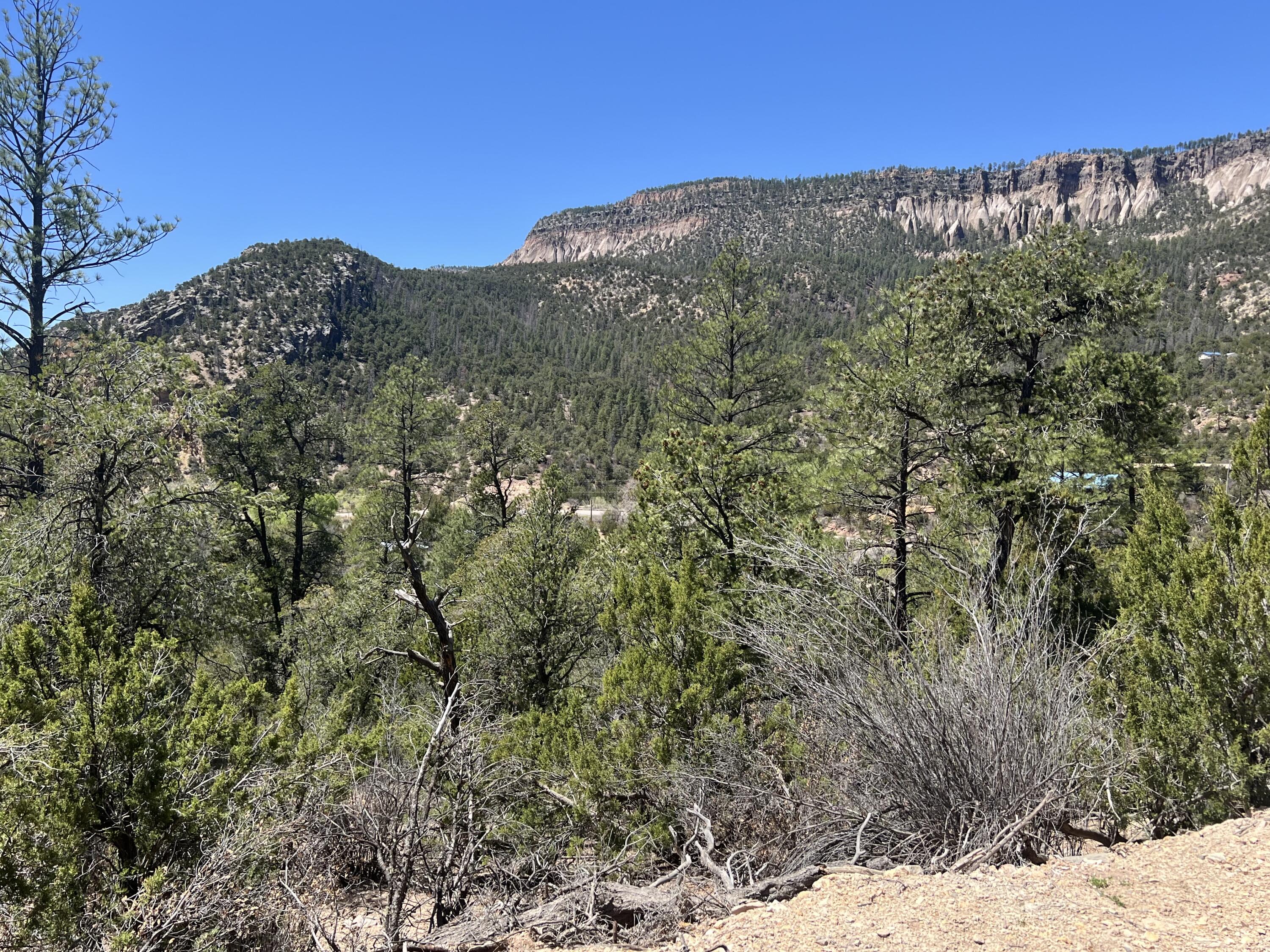 1A2A Calle Pinon, Jemez Springs, New Mexico image 4