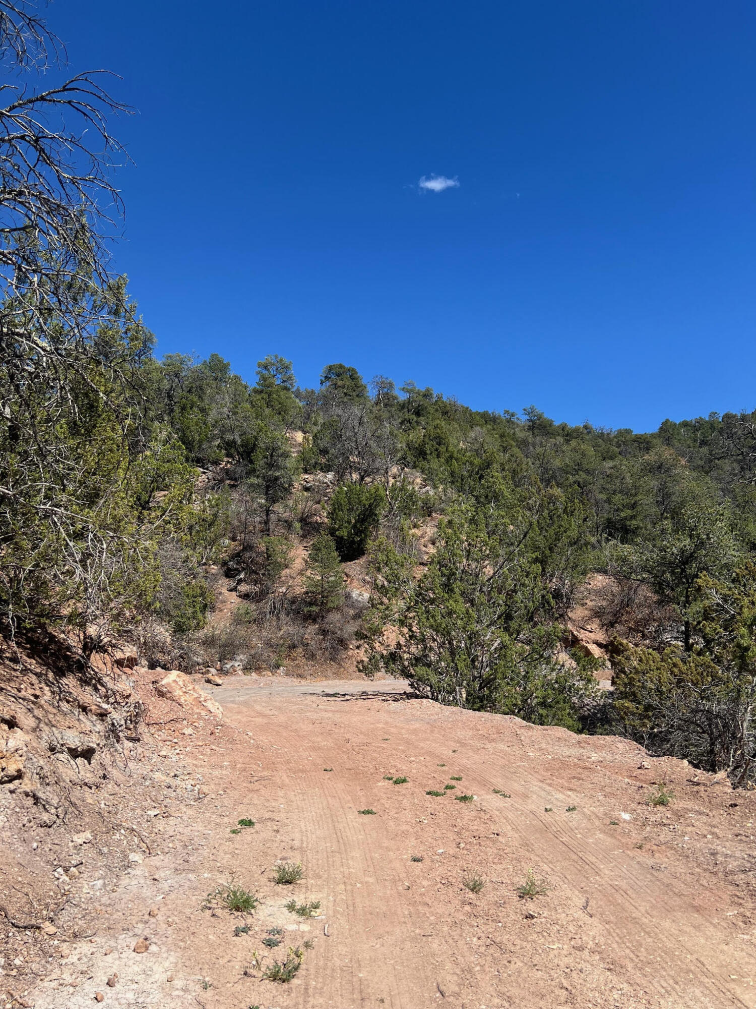 1A2A Calle Pinon, Jemez Springs, New Mexico image 24