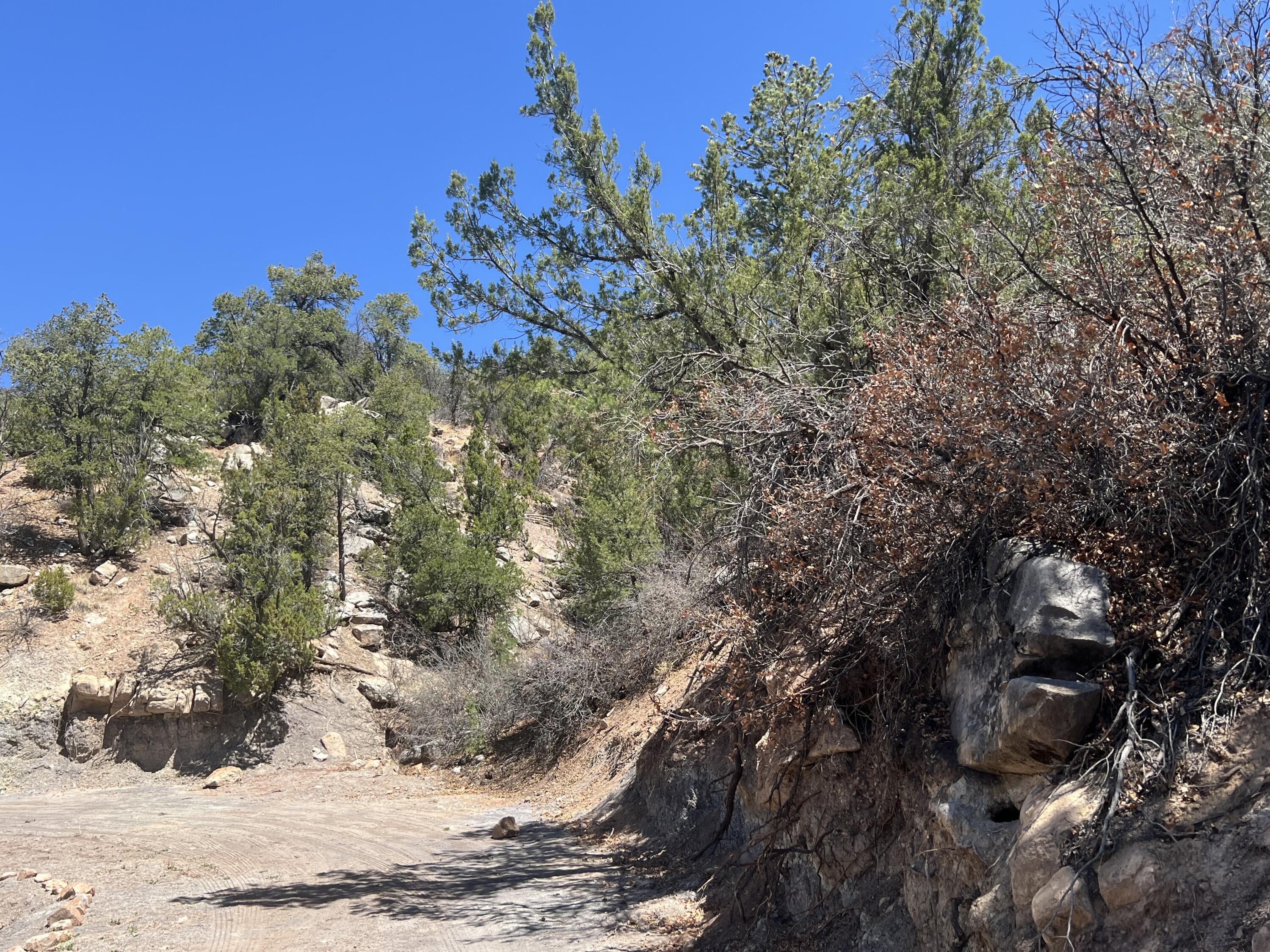 1A2A Calle Pinon, Jemez Springs, New Mexico image 3