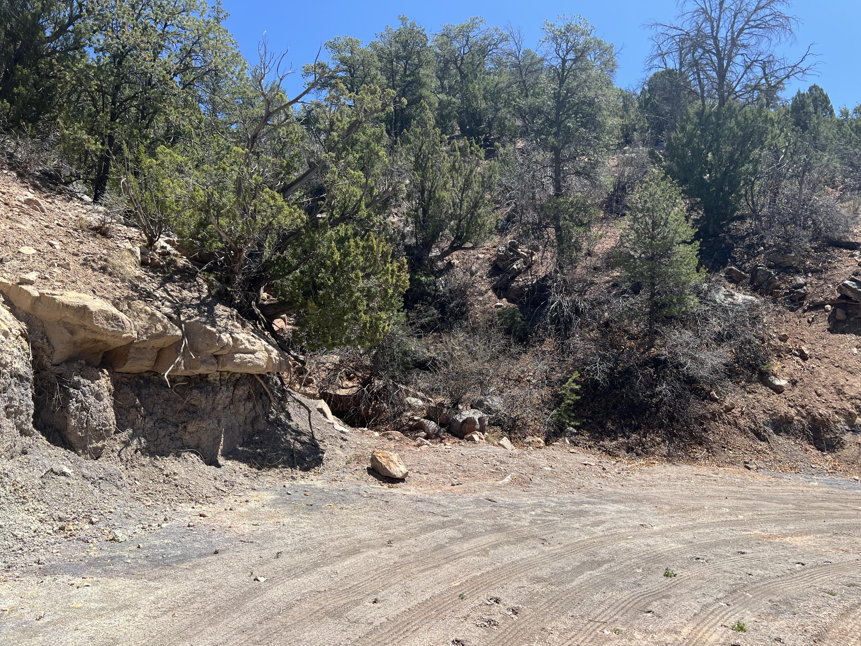 1A2A Calle Pinon, Jemez Springs, New Mexico image 23
