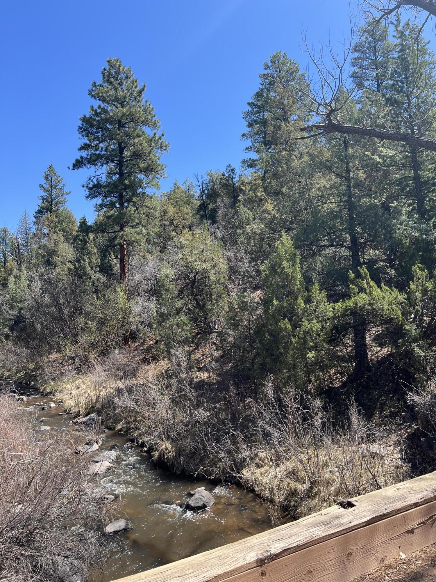 1A1A Camino Penasco, Jemez Springs, New Mexico image 5