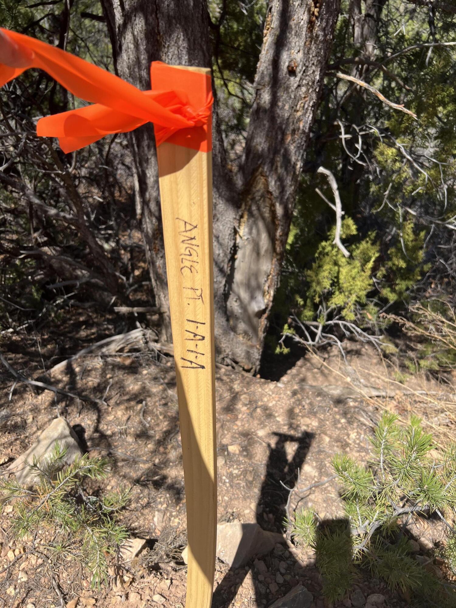 1A1A Camino Penasco, Jemez Springs, New Mexico image 9