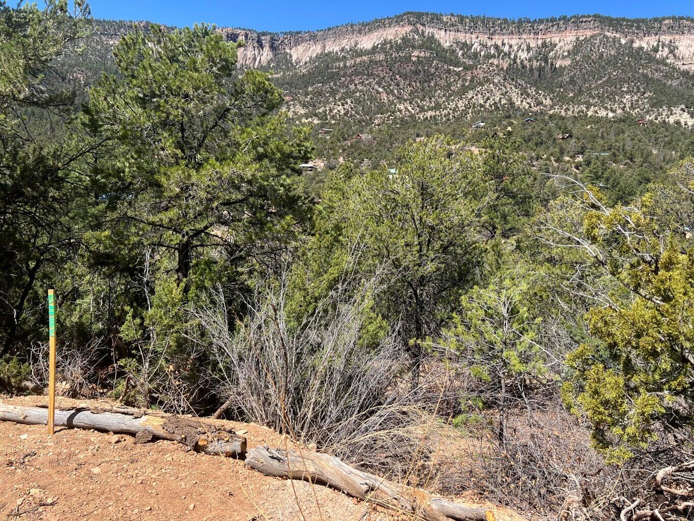 1A1A Camino Penasco, Jemez Springs, New Mexico image 20