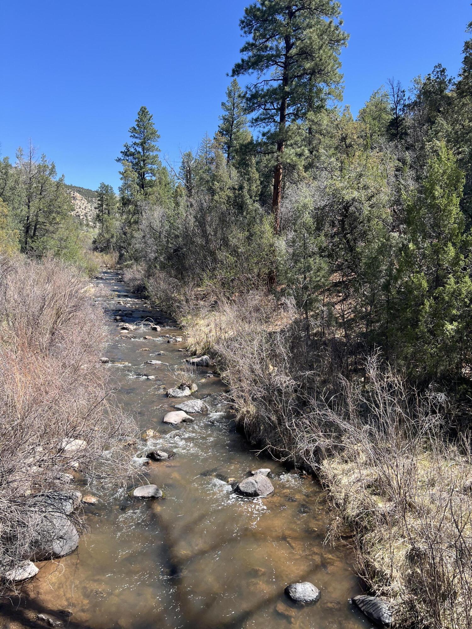 1A1A Camino Penasco, Jemez Springs, New Mexico image 3