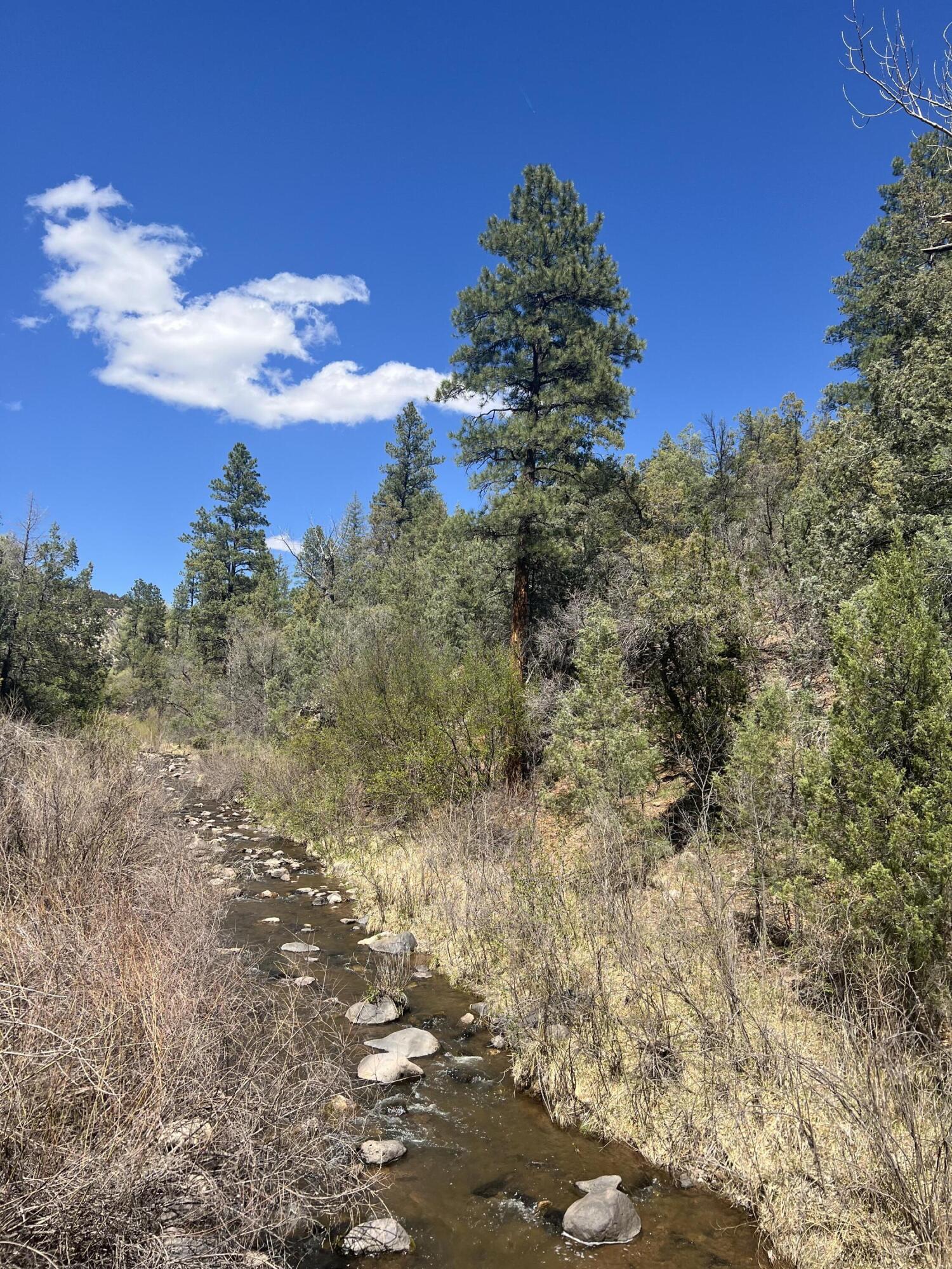 1A1A Camino Penasco, Jemez Springs, New Mexico image 1