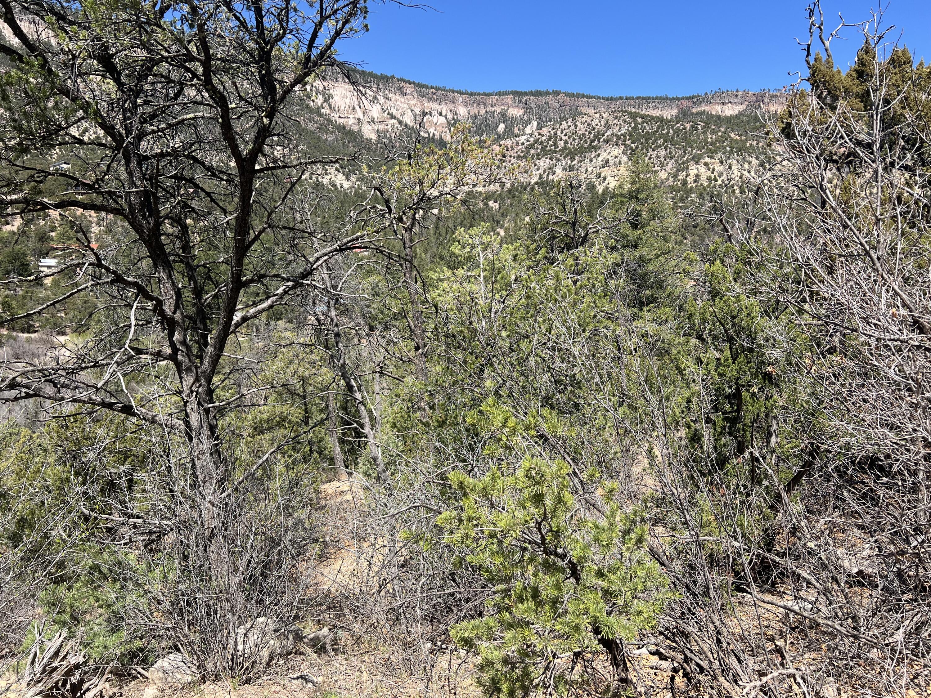 1A1A Camino Penasco, Jemez Springs, New Mexico image 6
