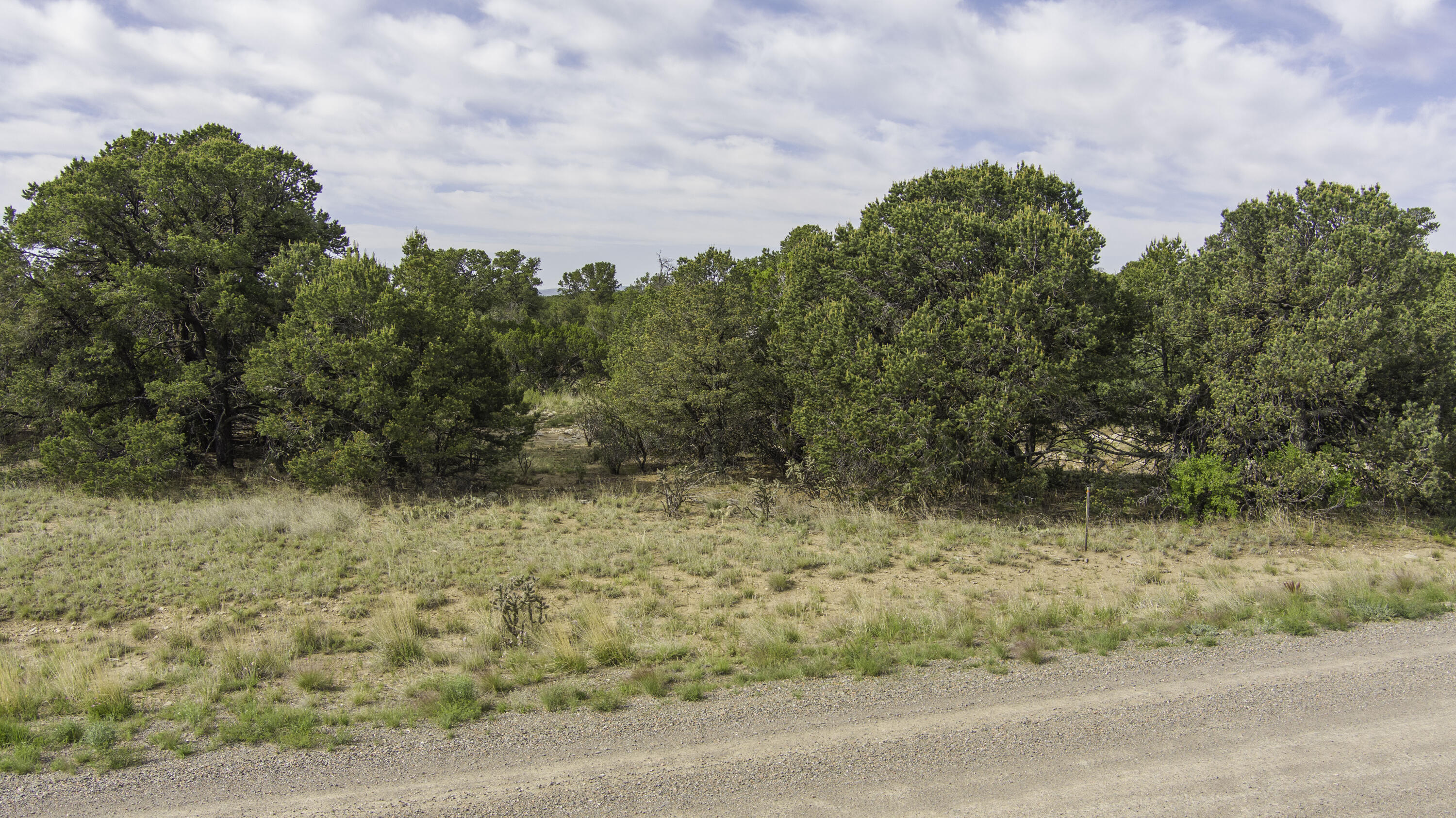 36 Camino Monte Azul, Edgewood, New Mexico image 17