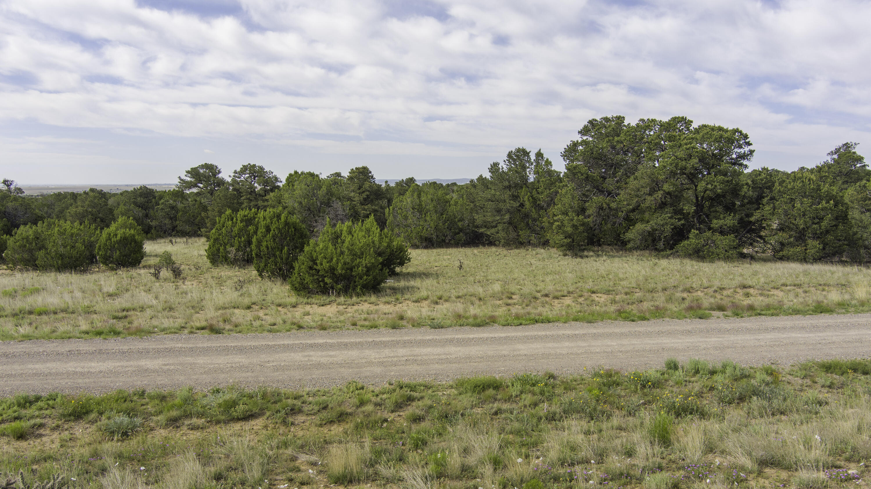 36 Camino Monte Azul, Edgewood, New Mexico image 18