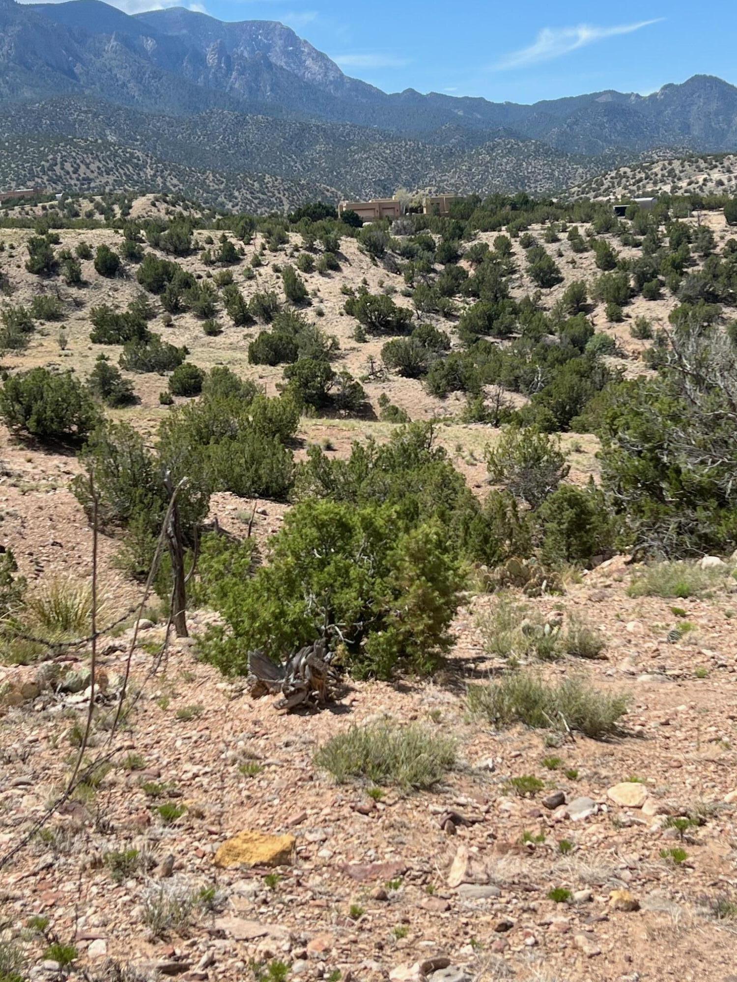 Lands Of Grevey-liberman, Placitas, New Mexico image 32