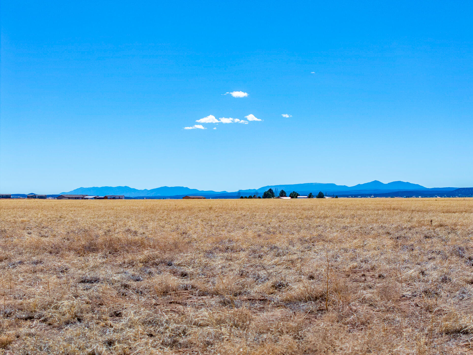 Green Road, Moriarty, New Mexico image 17