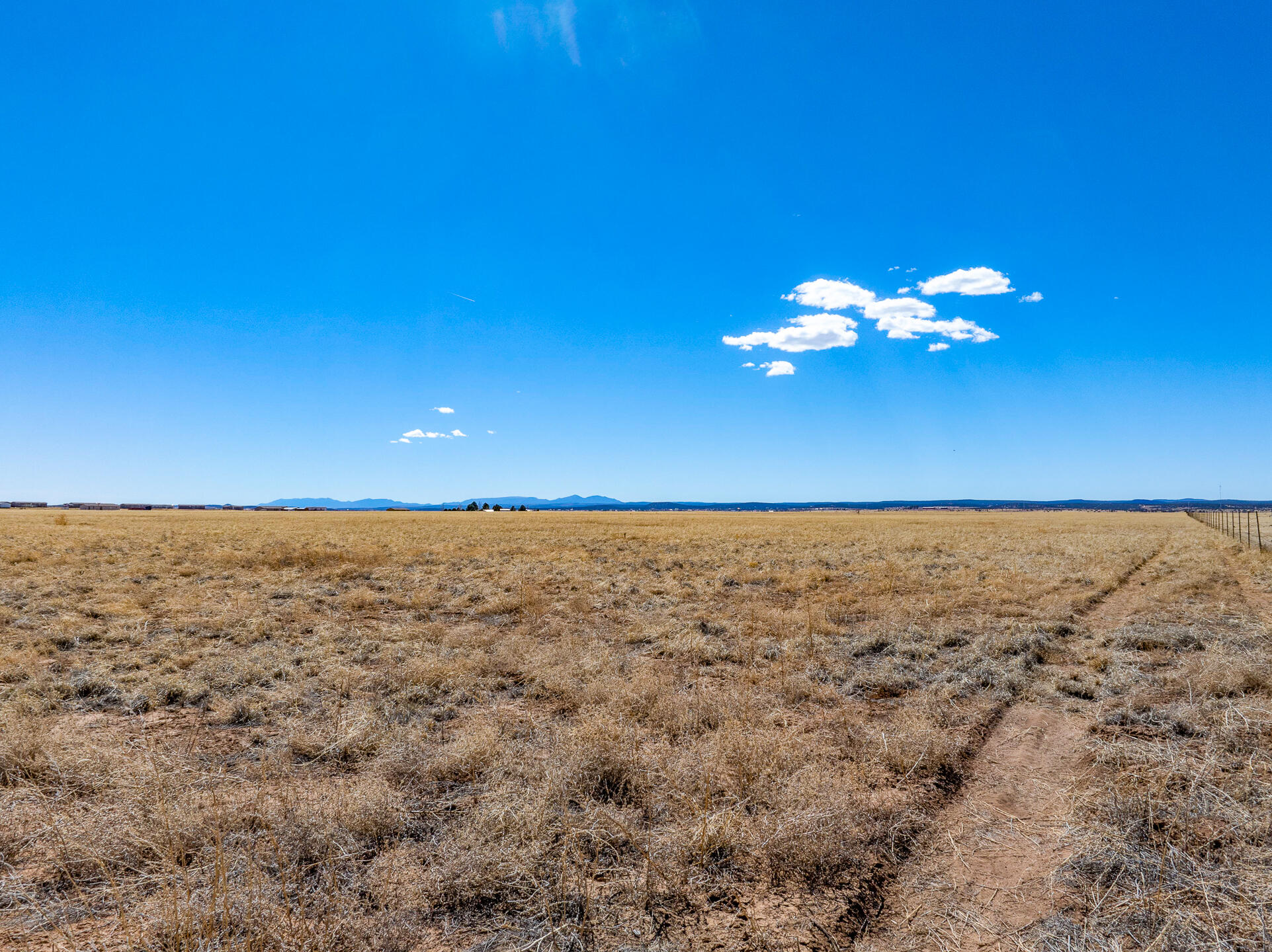 Green Road, Moriarty, New Mexico image 16