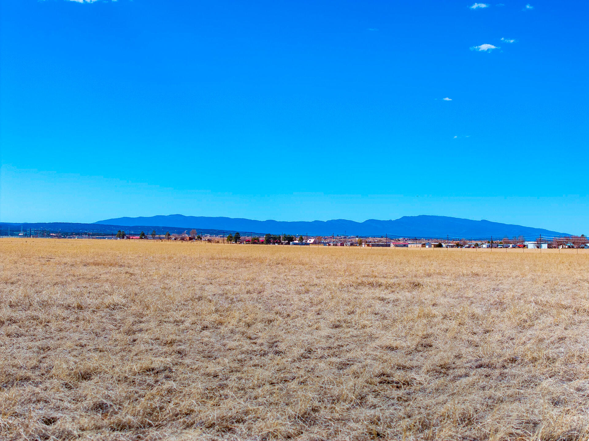 Green Road, Moriarty, New Mexico image 20