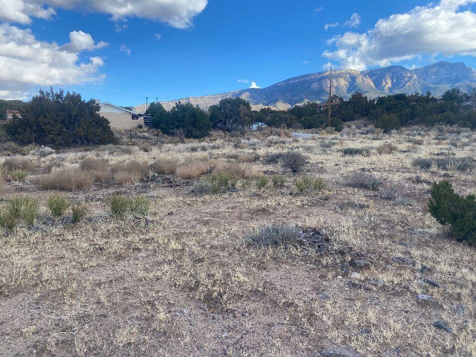 Arroyo Conchas, Placitas, New Mexico image 4