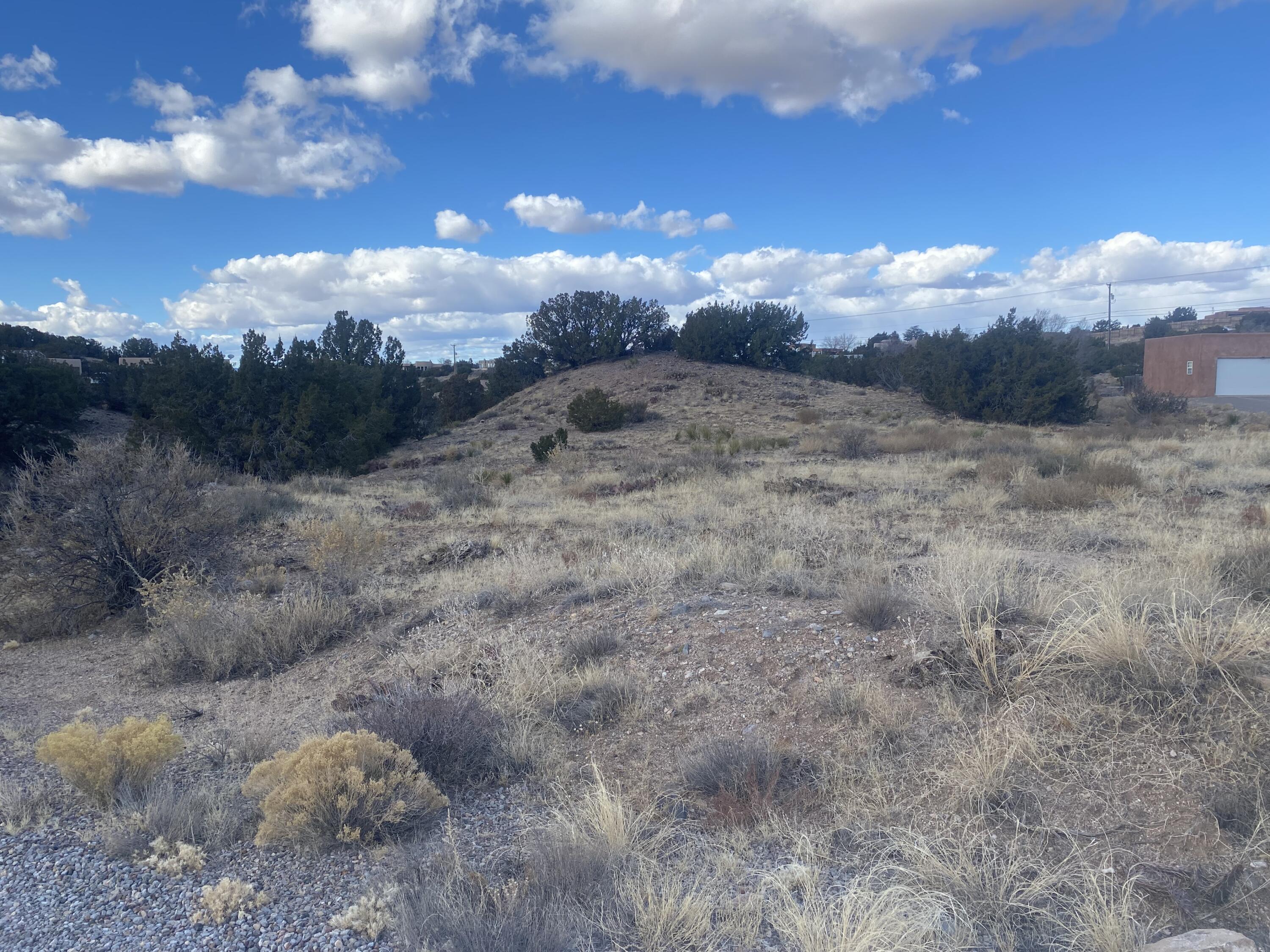 Arroyo Conchas, Placitas, New Mexico image 2