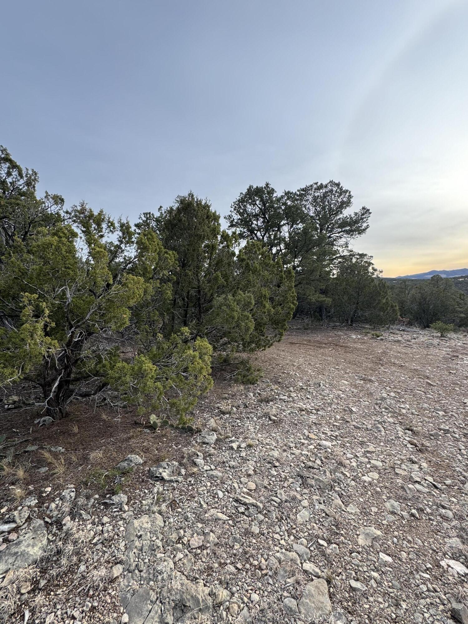 30 Crestview Drive, Tijeras, New Mexico image 4