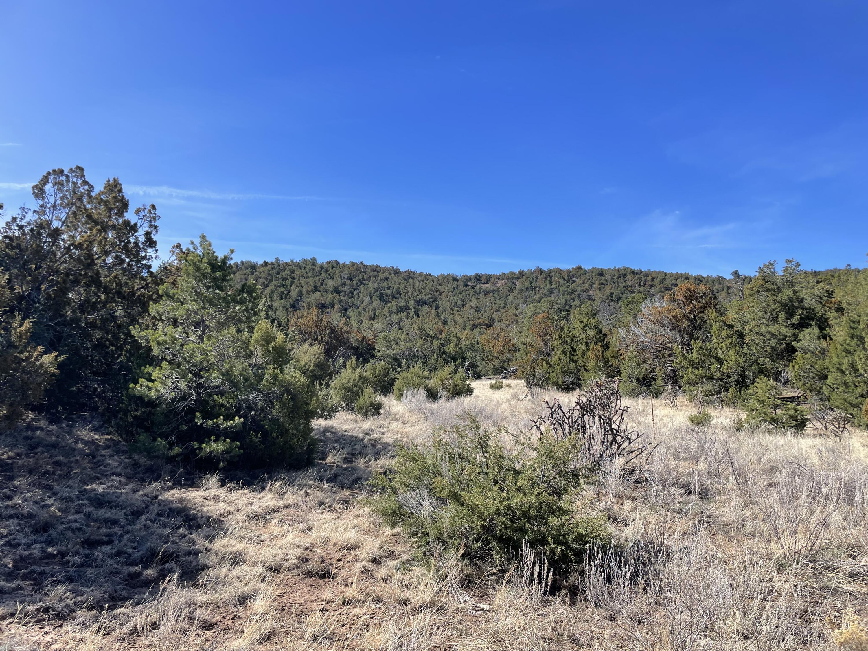 43 Canon Escondido Place, Sandia Park, New Mexico image 13