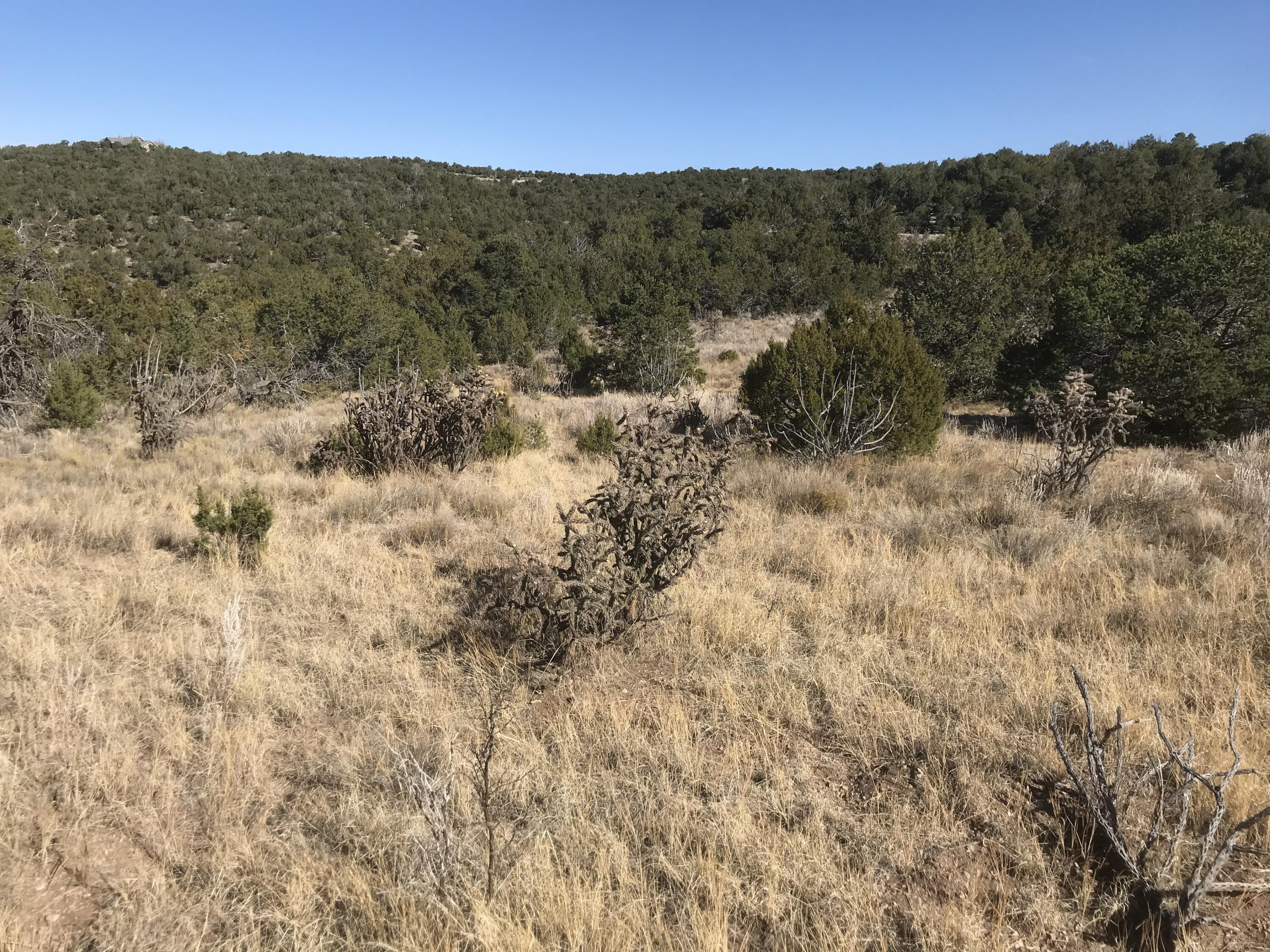 43 Canon Escondido Place, Sandia Park, New Mexico image 10